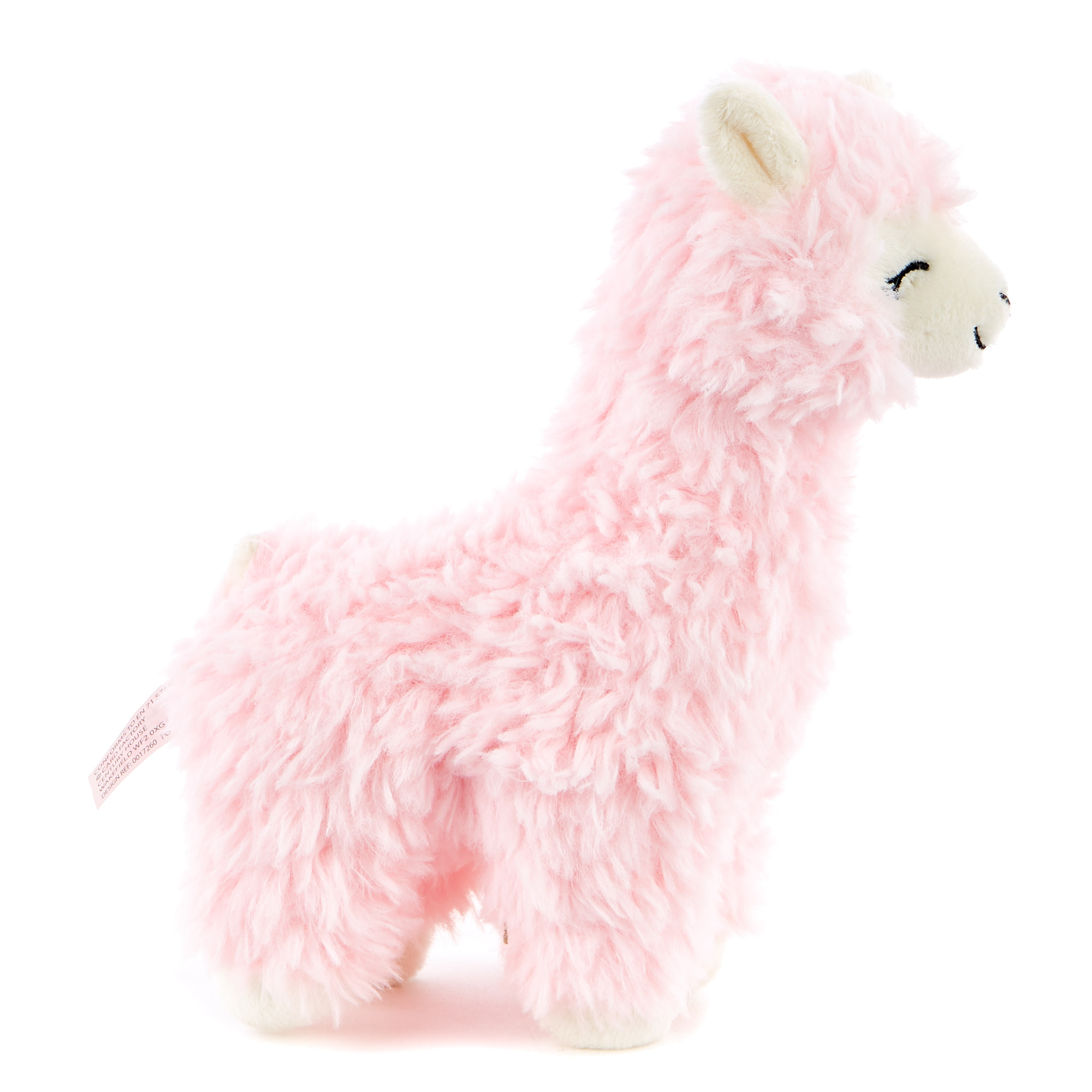 llama teddy