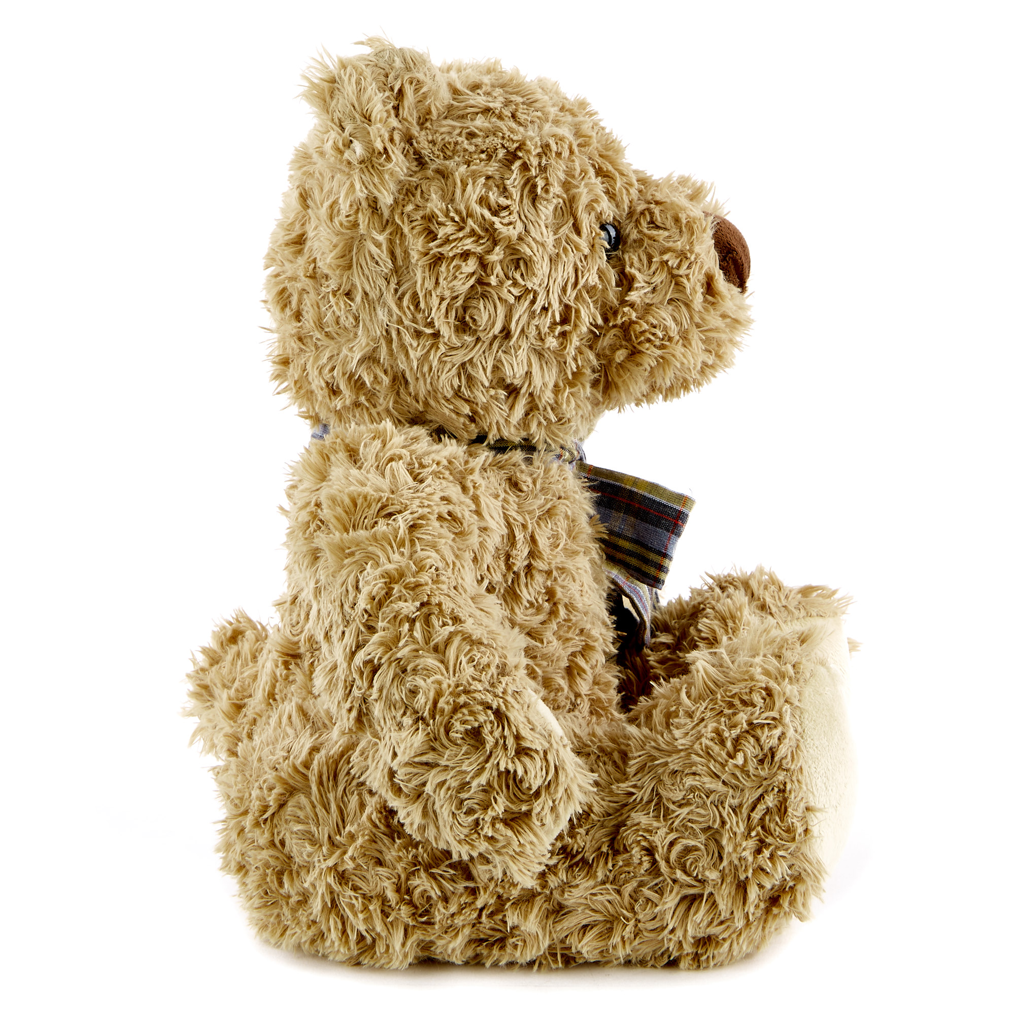 Traditional Brown Bear Soft Toy