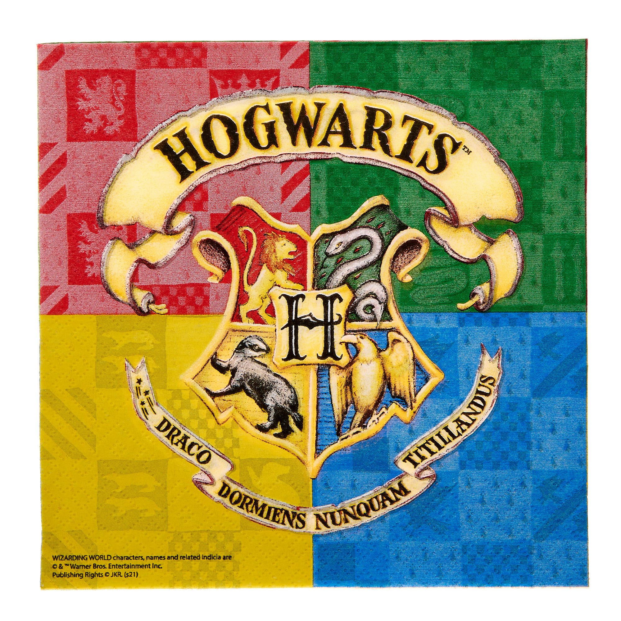 Harry Potter Birthday Party Tableware & Decorations Bundle - 16 Guests 