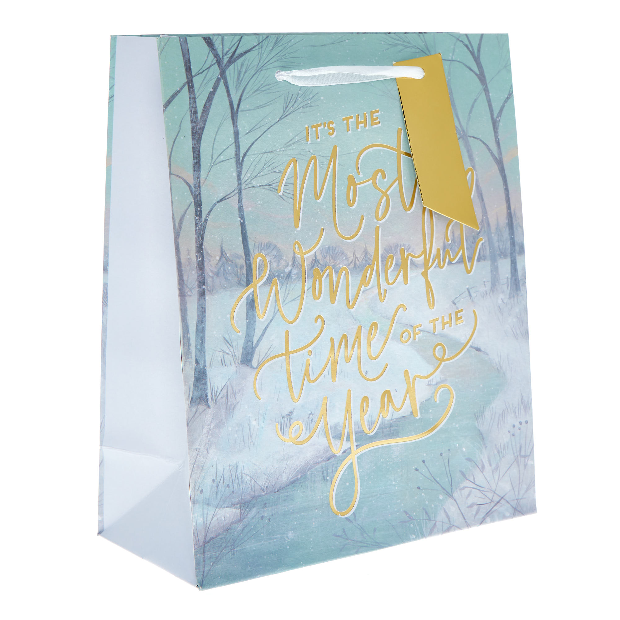 Medium Portrait Most Wonderful Time of the Year Gift Bag