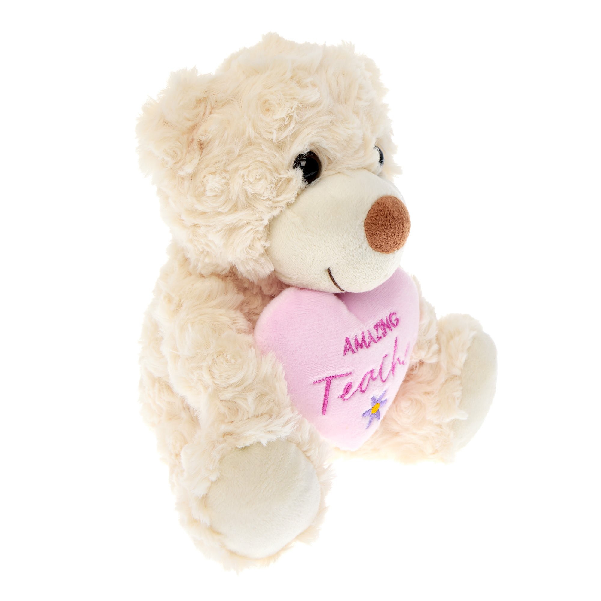 Amazing Teacher Bear Soft Toy