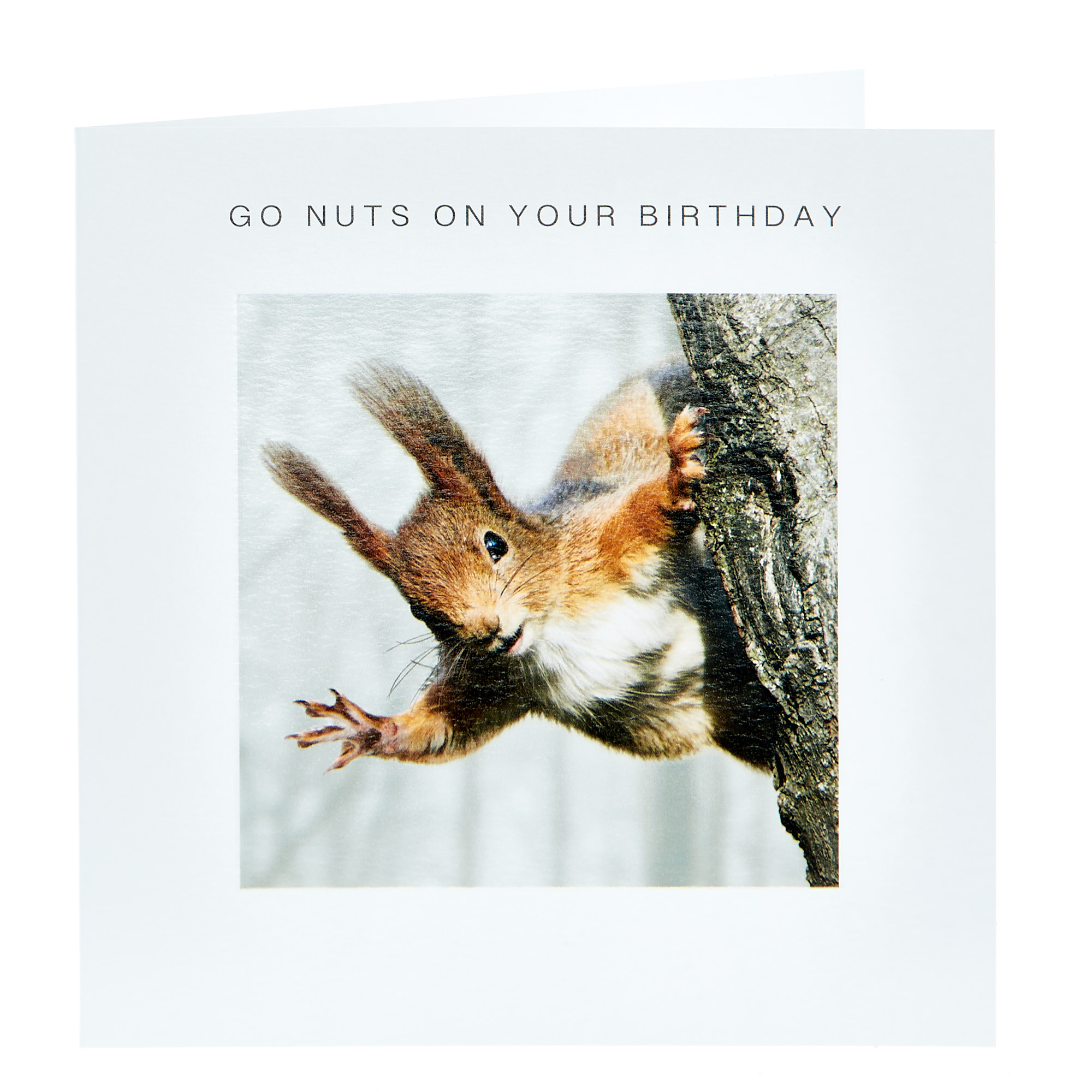 Birthday Card - Go Nuts, Squirrel