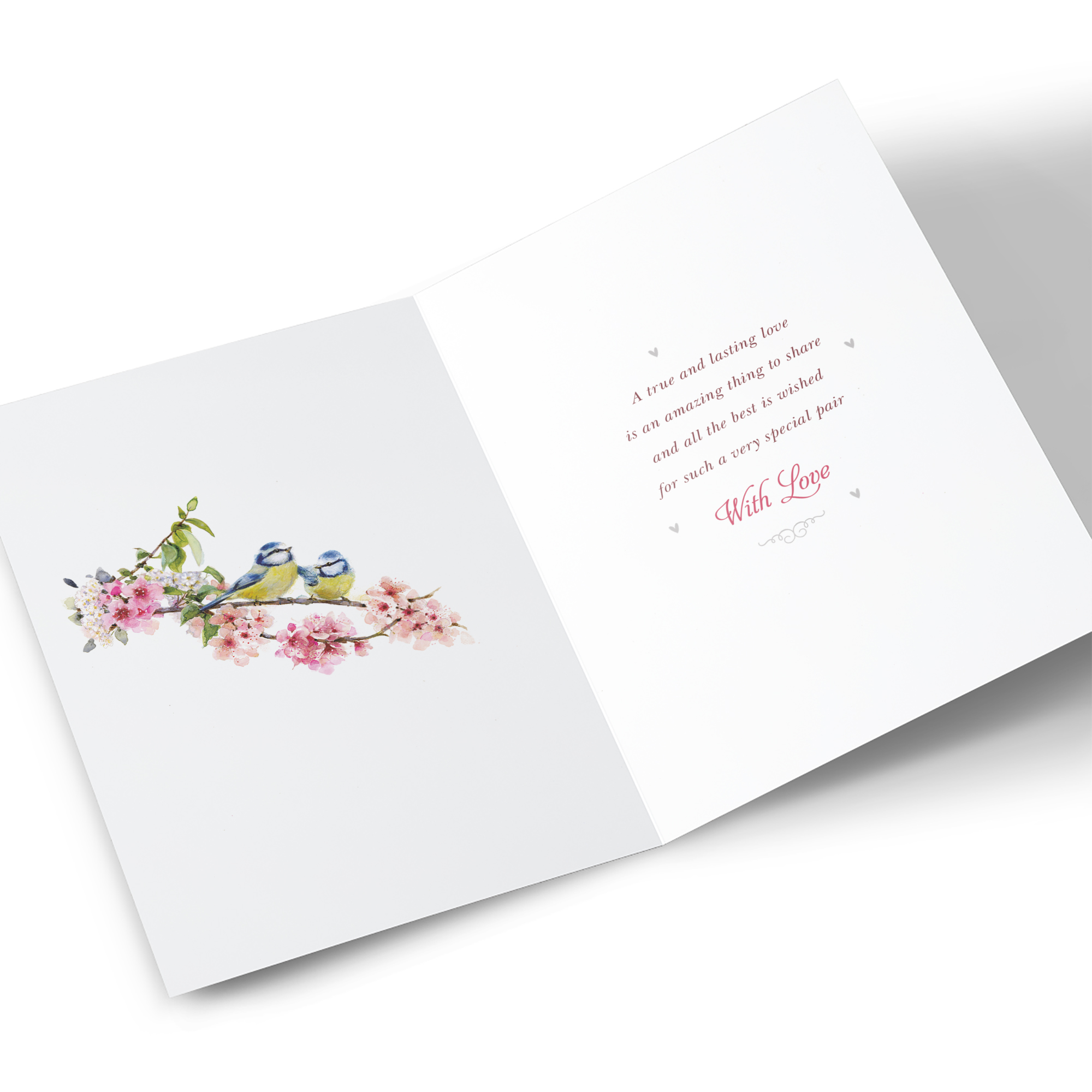 Anniversary Card - Blue Tits on Blossom, Special Couple