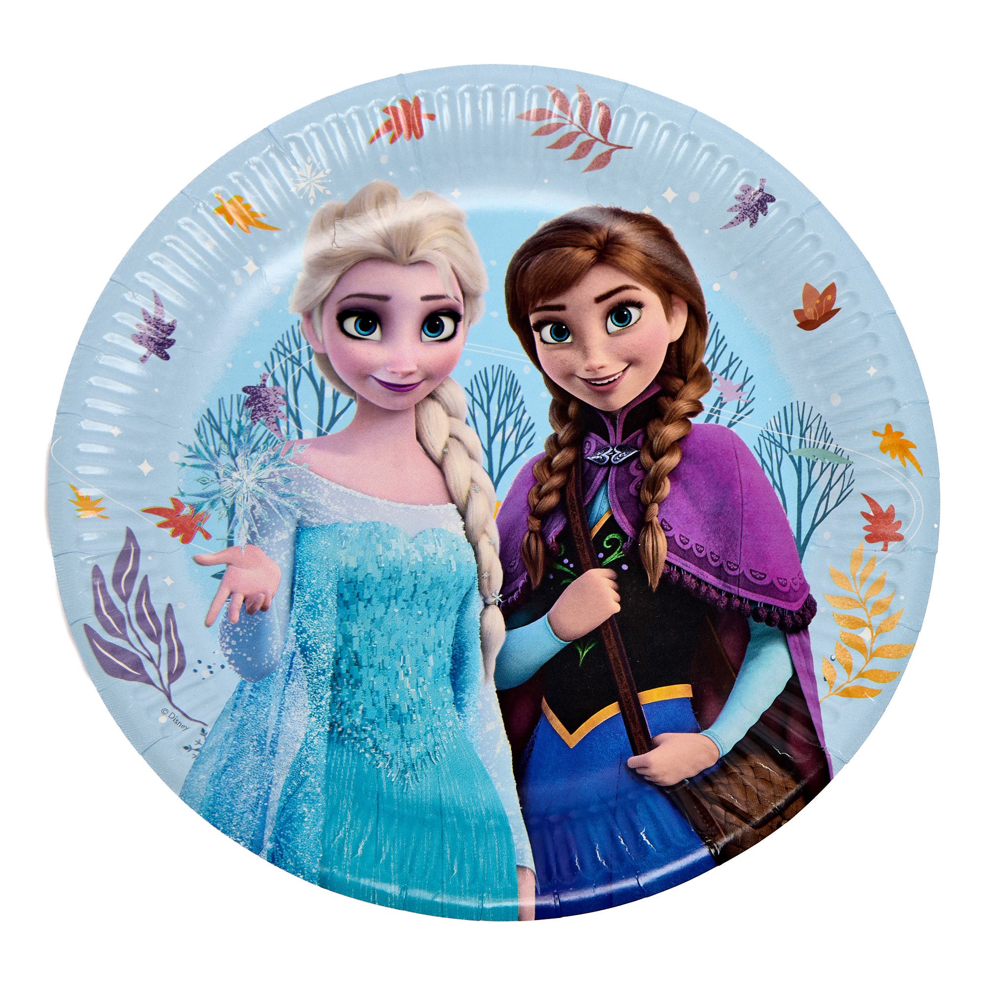 Frozen Idyllic Wonder Birthday Party Tableware & Decoration Bundle - 16 Guests 