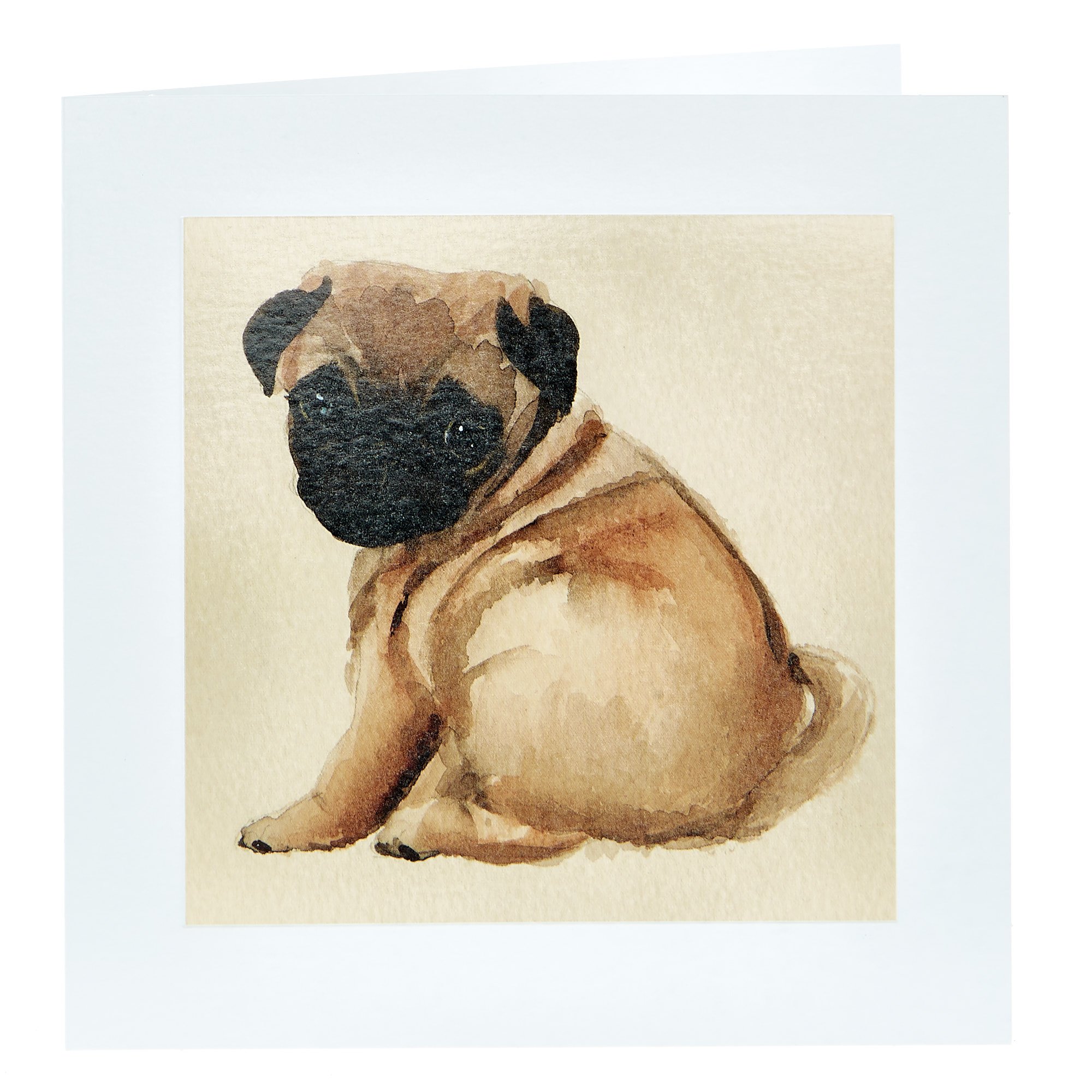 Any Occasion Card - Painted Pug