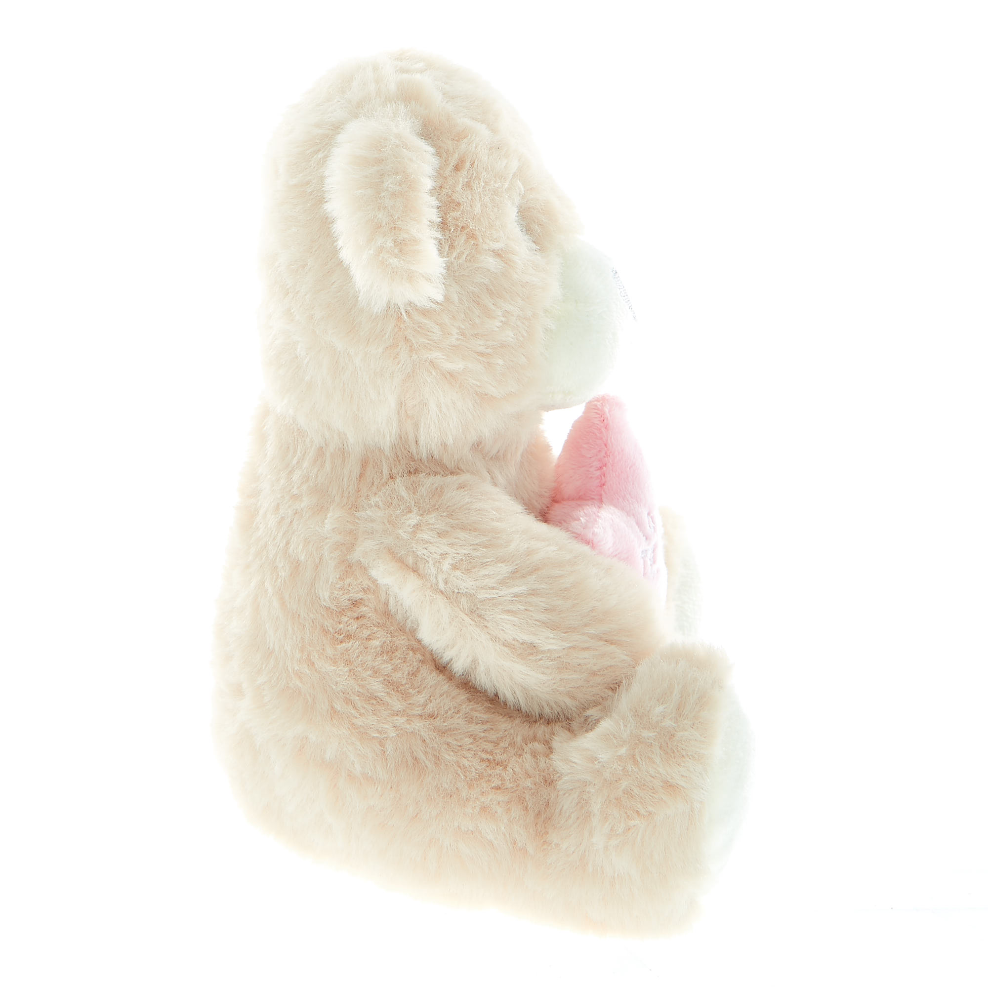 Lovely Teacher Bear Soft Toy