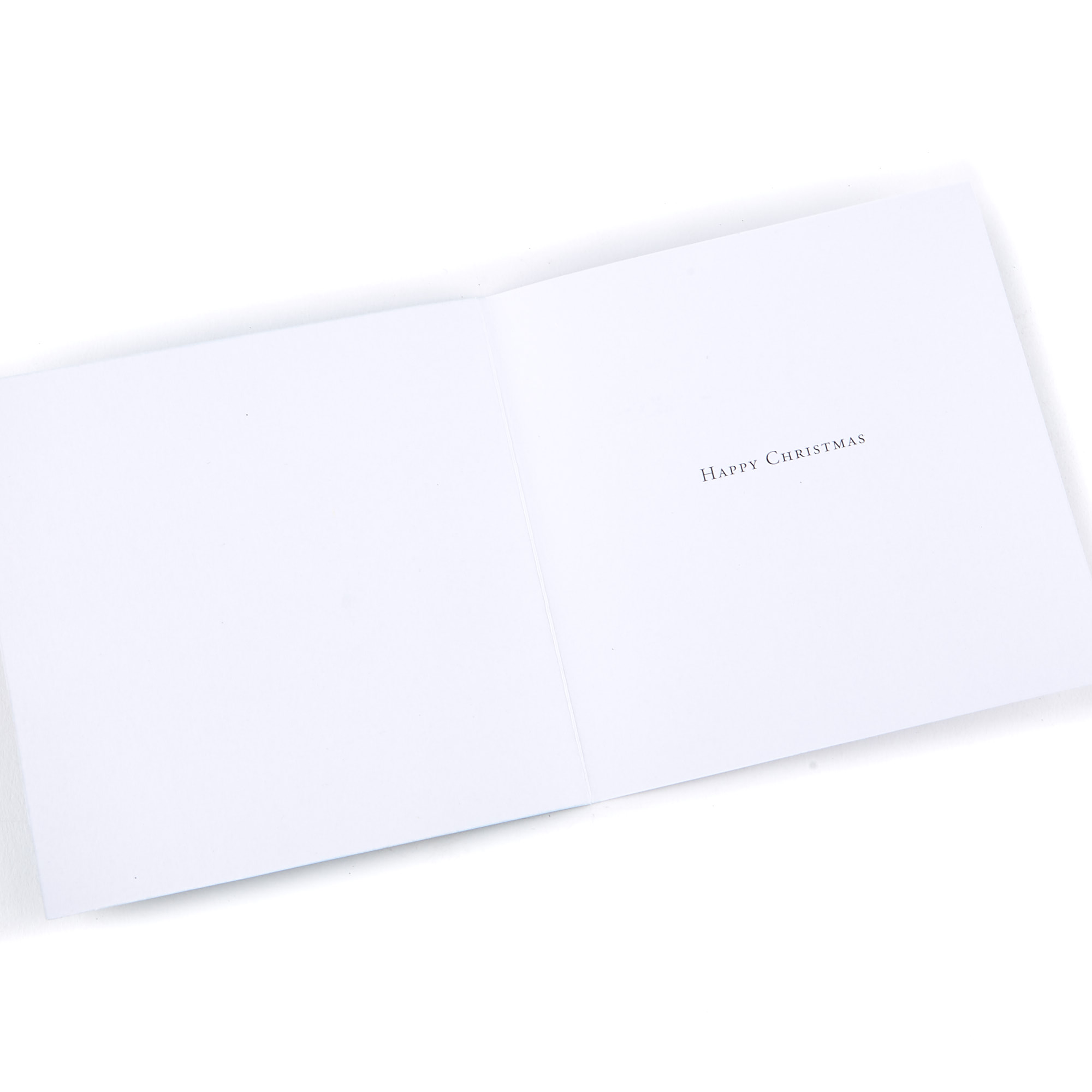 Boxed Charity Christmas Cards - Winter Wonderland Pack of 20