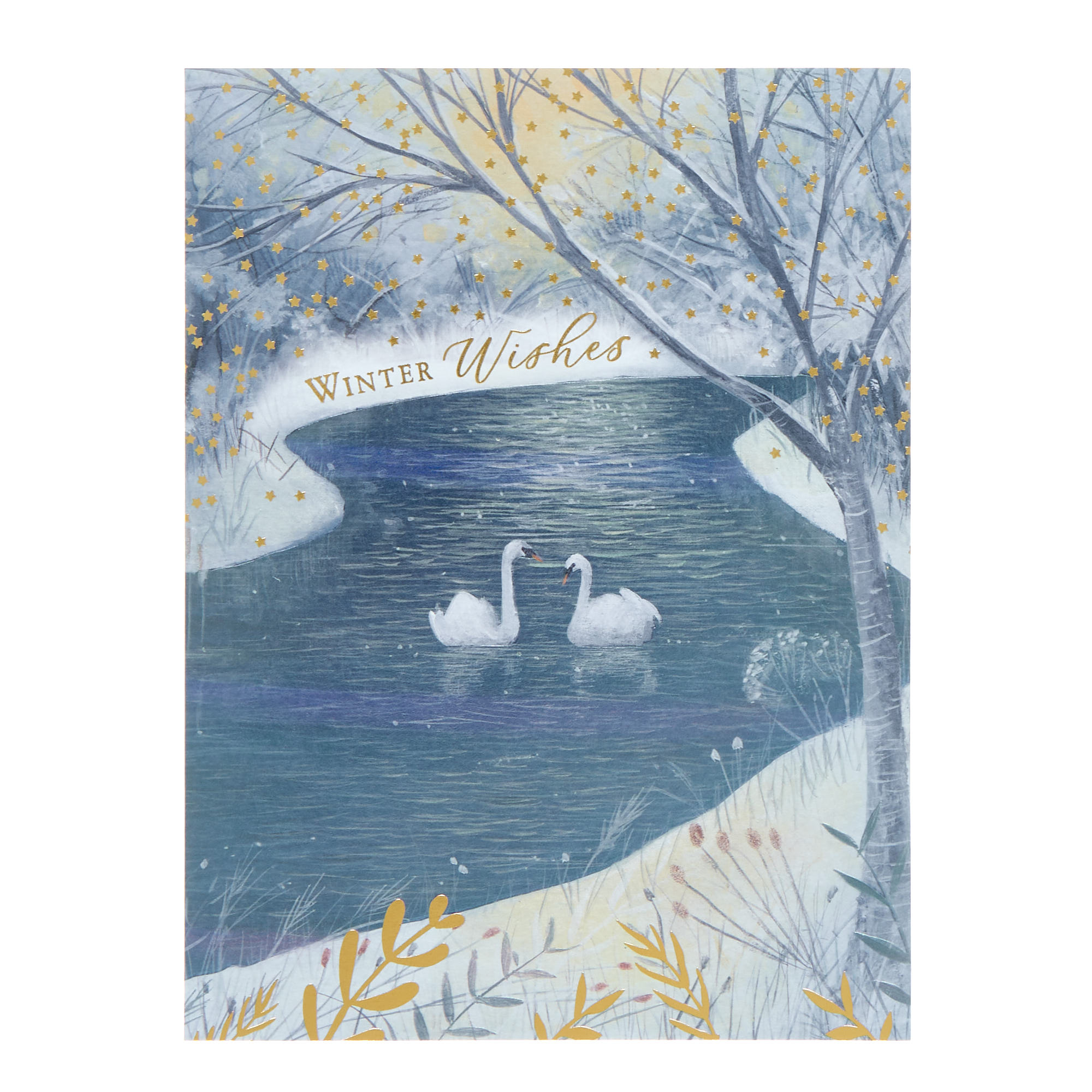 10 Deluxe Boxed Charity Christmas Cards - Winter Birds (2 Designs) 