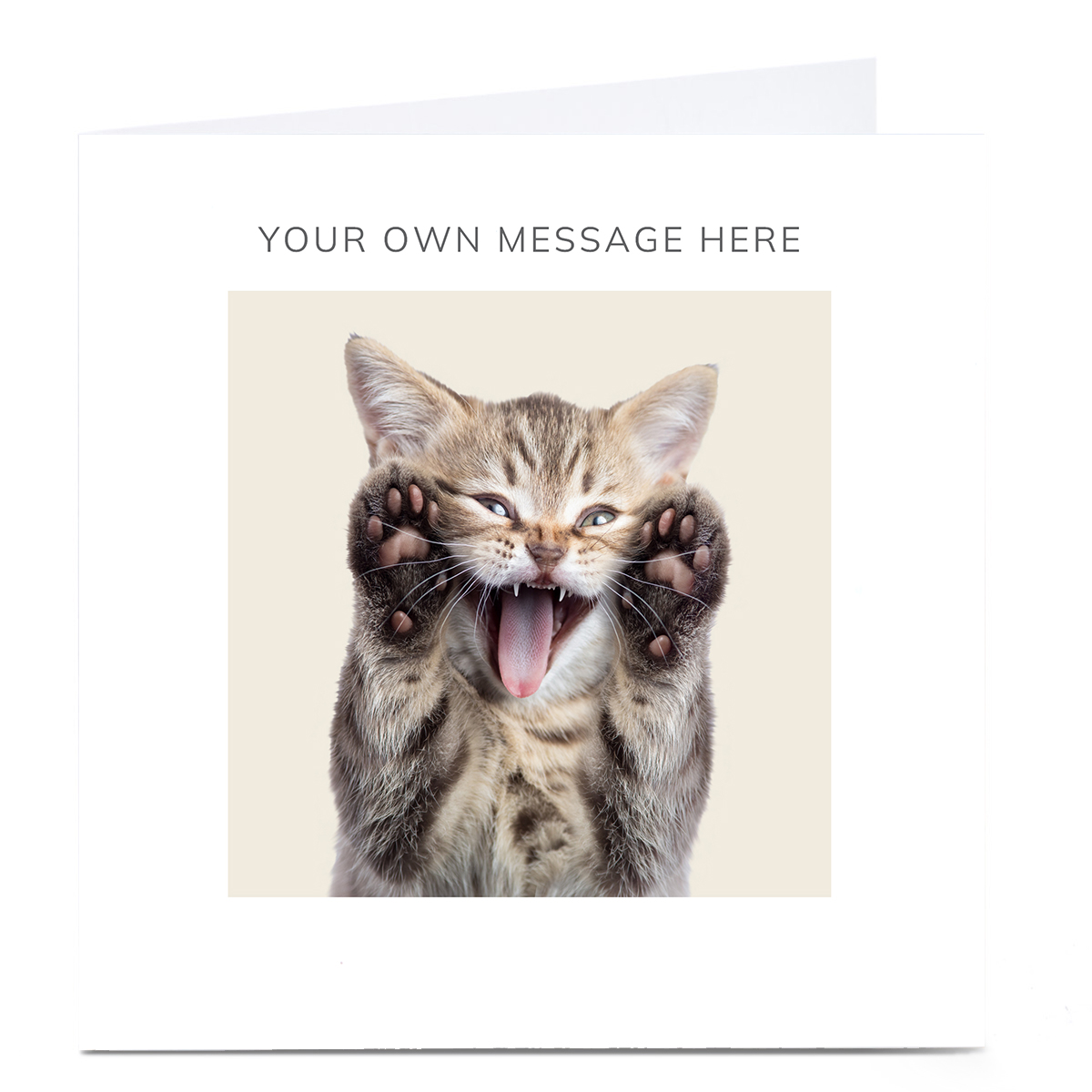 Personalised Any Occasion Card - Crazy Cat
