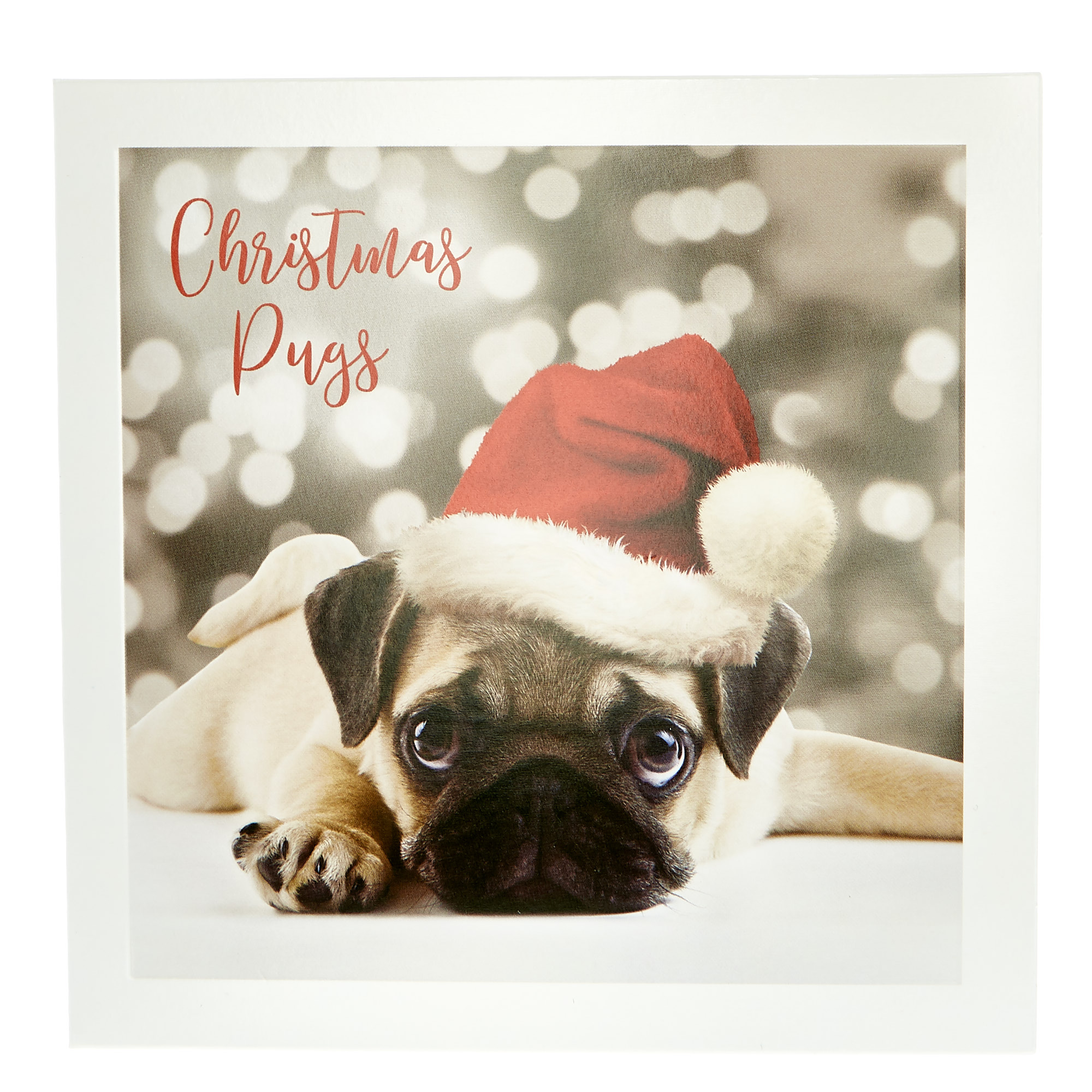 20 Dog-Themed Charity Christmas Cards - 4 Designs 