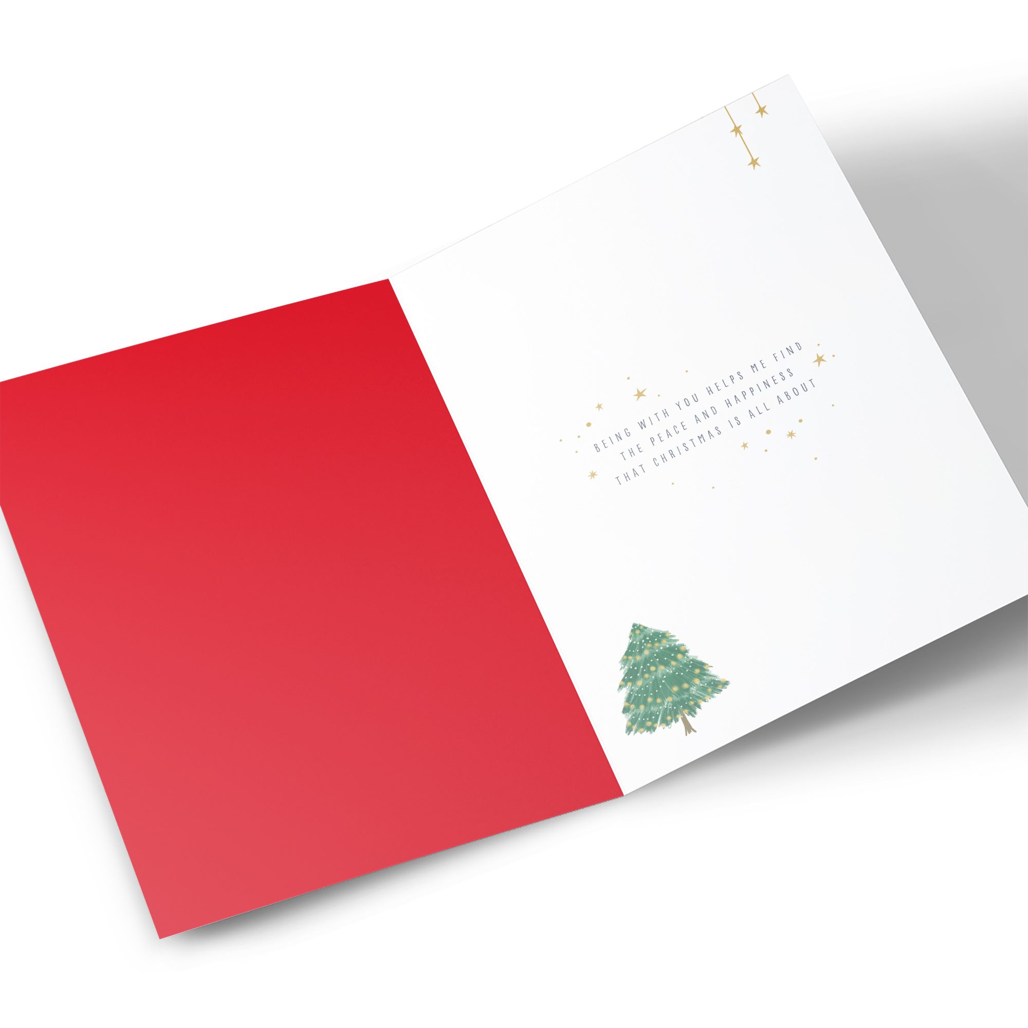 Christmas Card - Snowy Park Scene Bauble, Wife