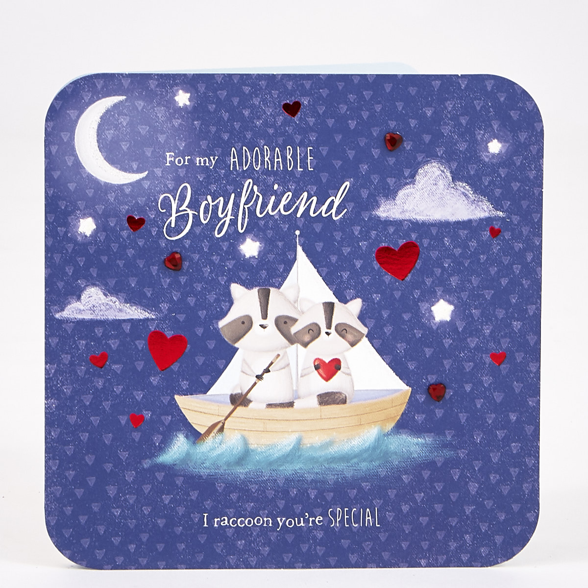 Valentine's Day Card - Boutique Boyfriend Raccoon Boat