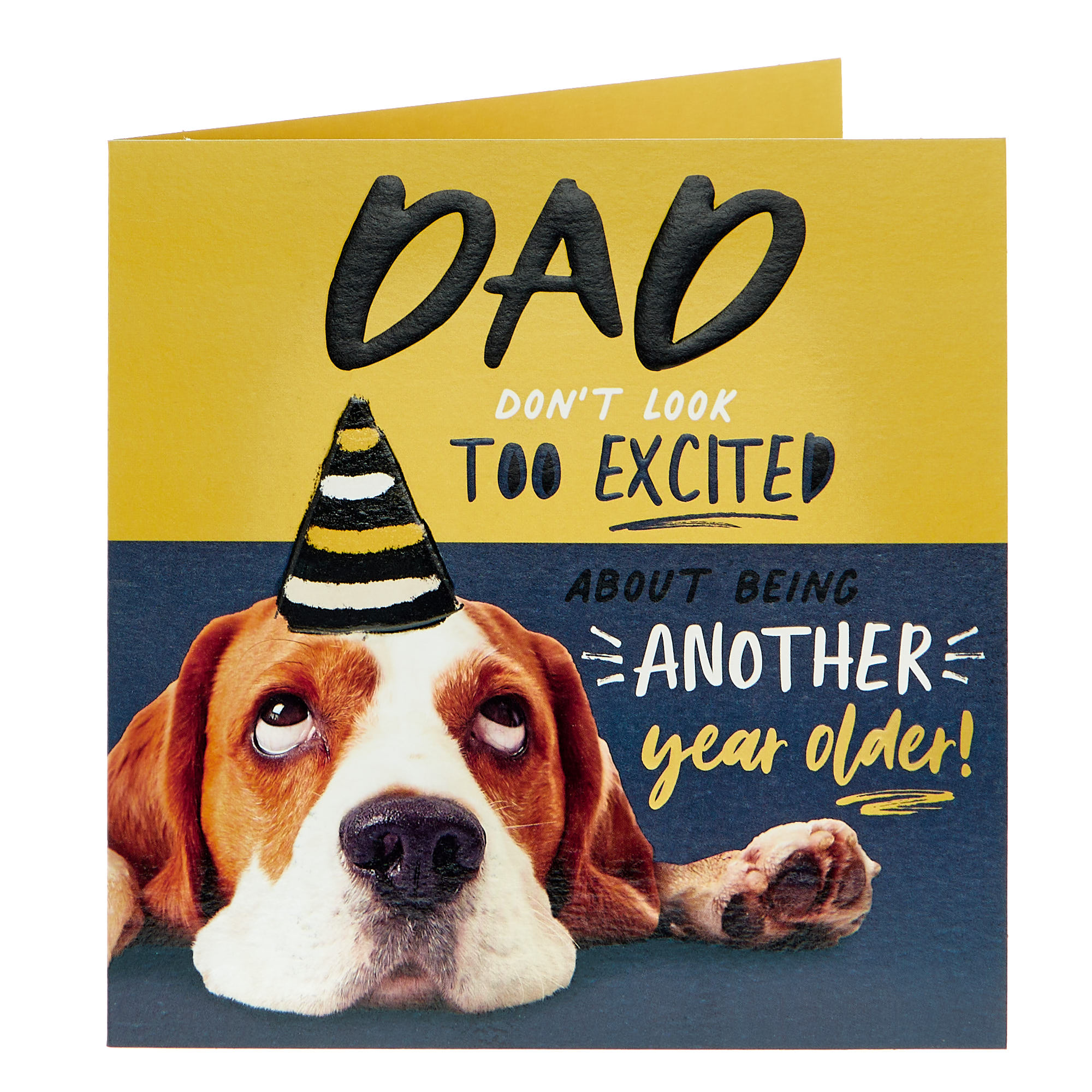Dad Another Year Older Beagle Birthday Card