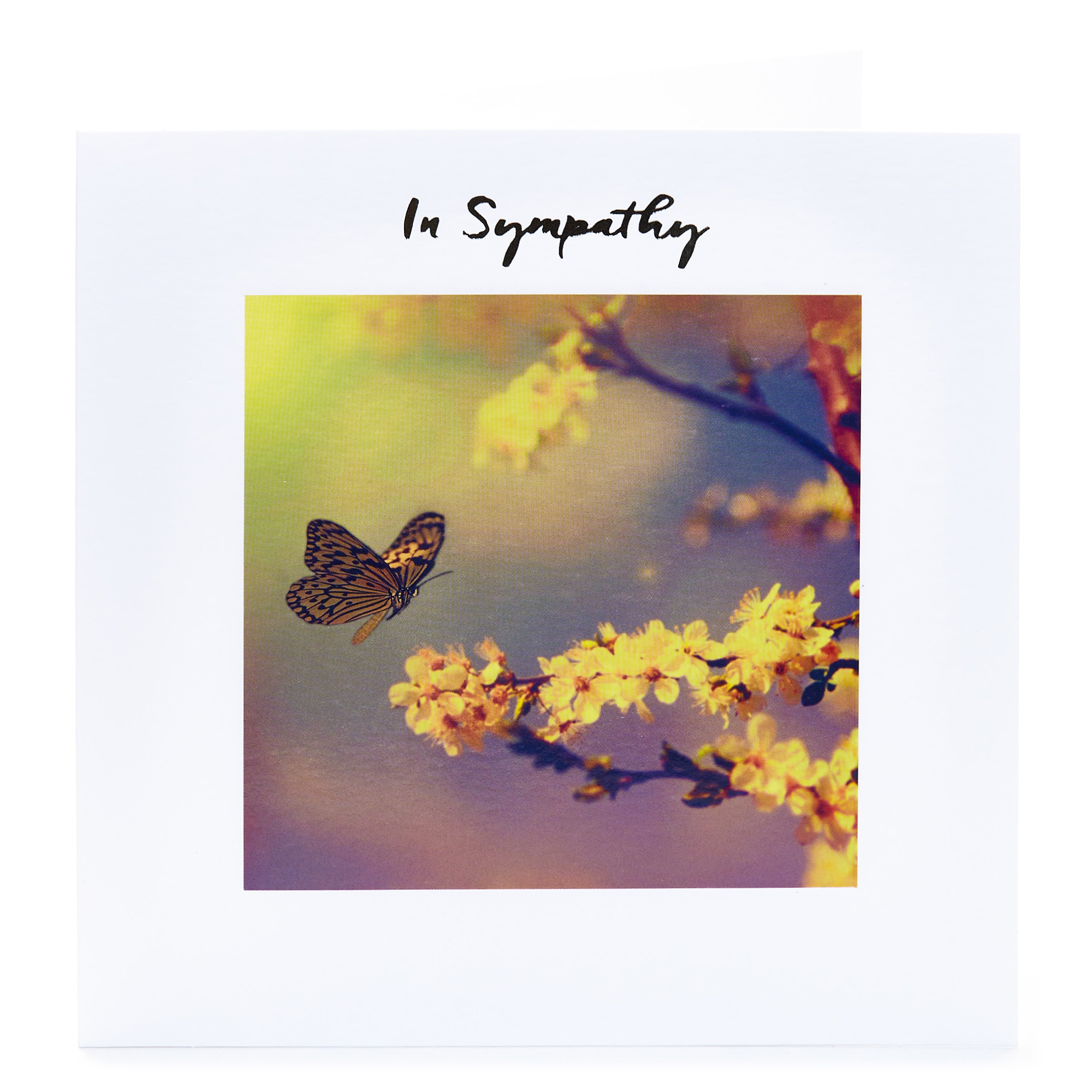 Sympathy Card - Butterfly & Flowers