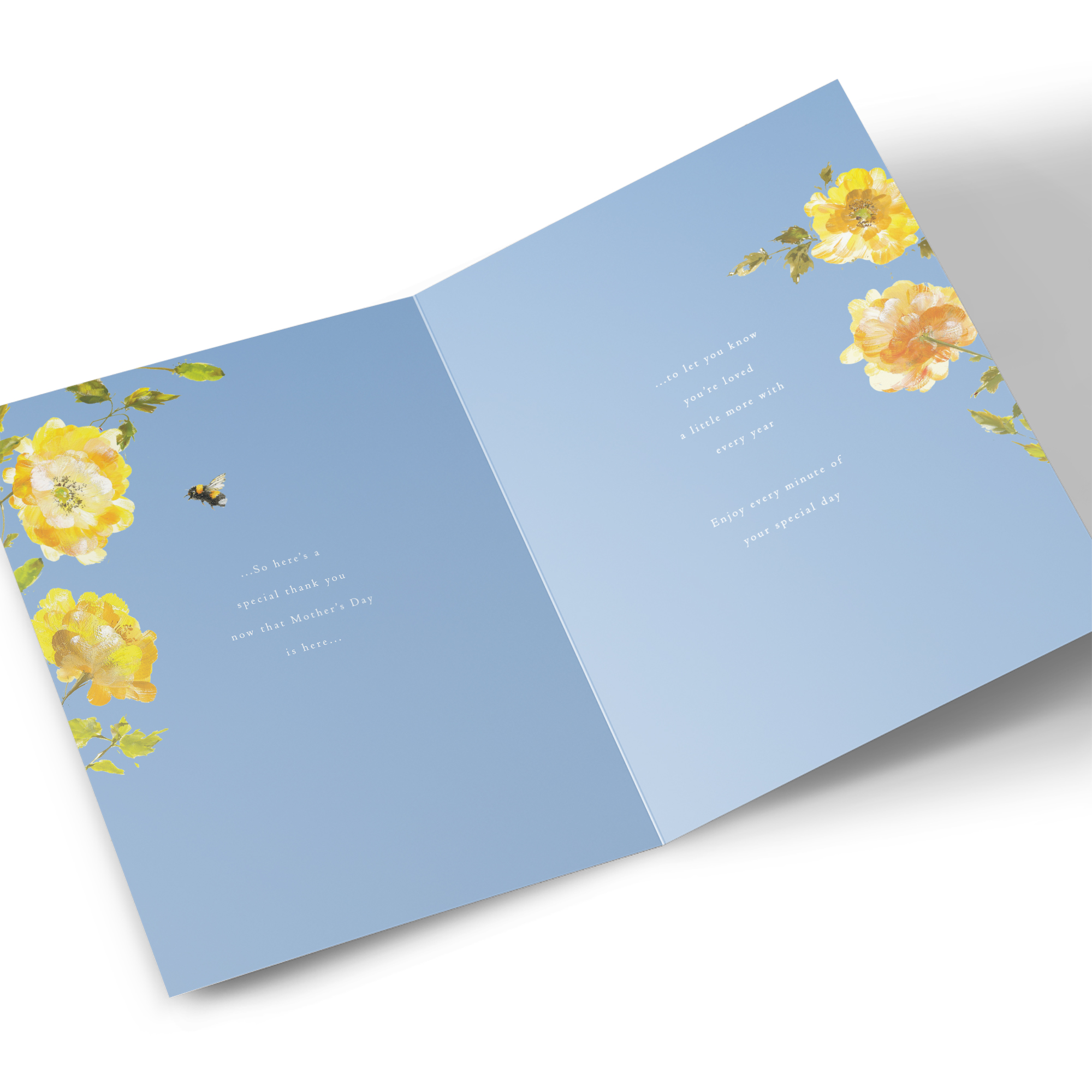 Mother's Day Card - For A Wonderful Step-Grandma