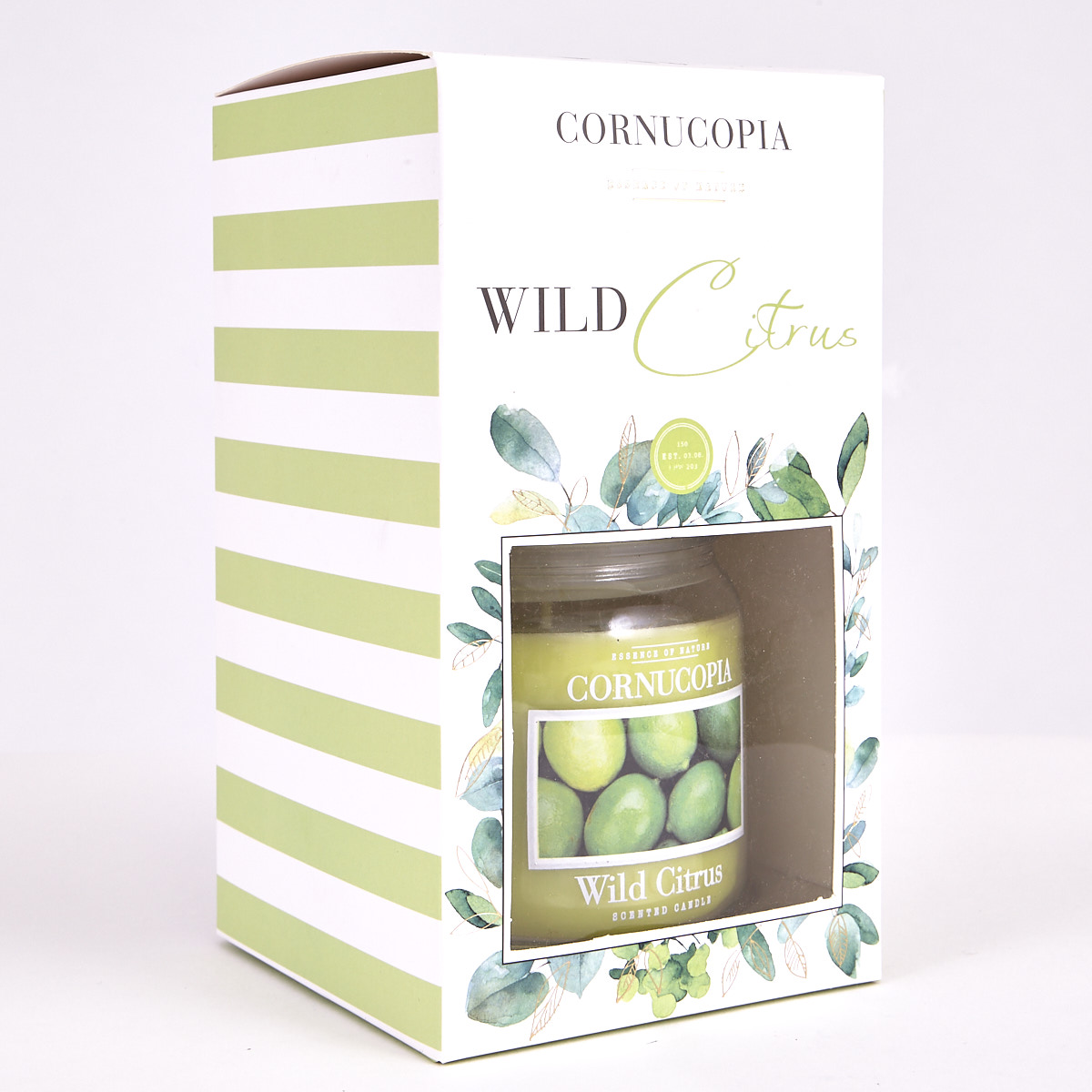 Boxed Cornucopia Scented Candle - Wild Citrus (Set of 2) 