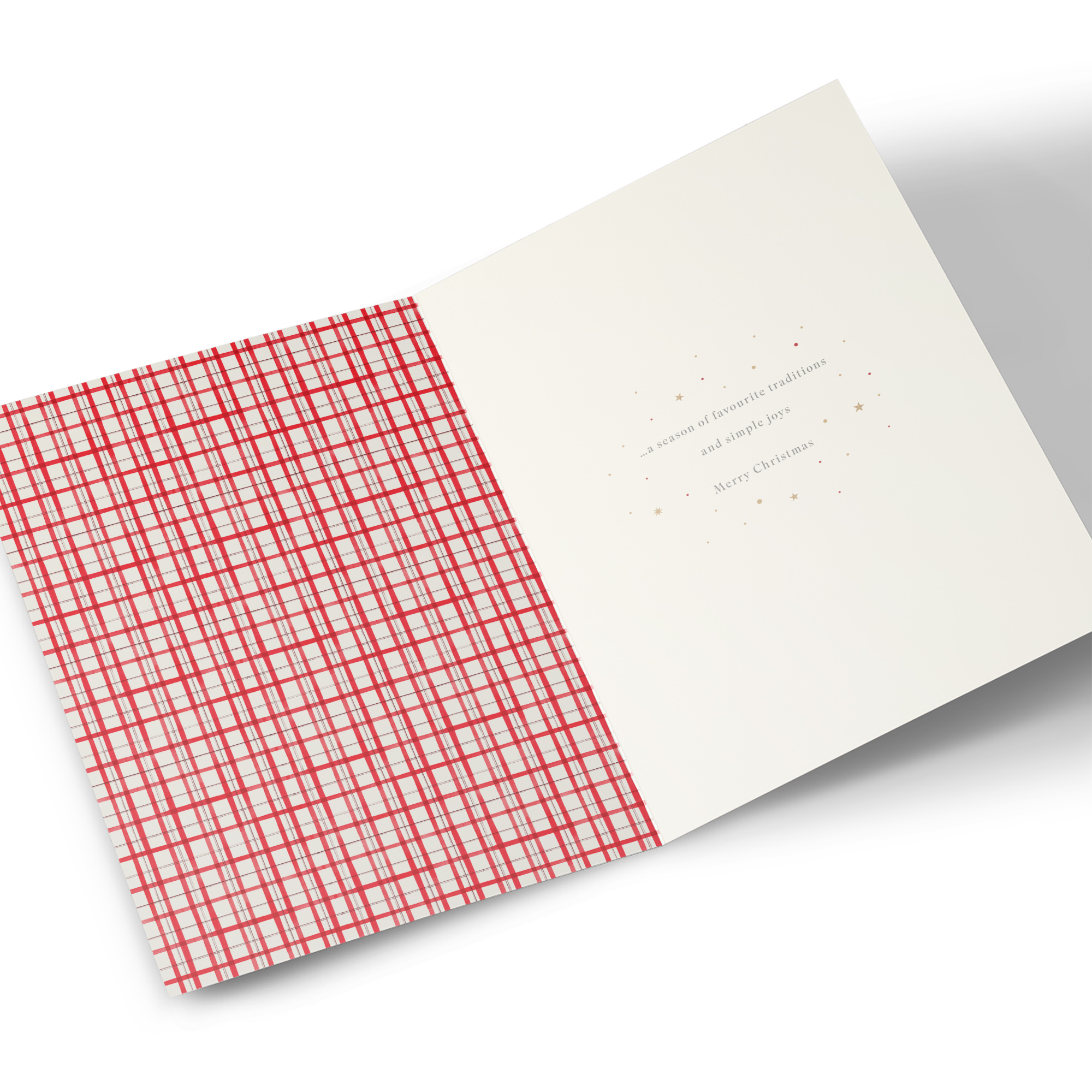 Christmas Card - Warm Festive Wishes Santa With List