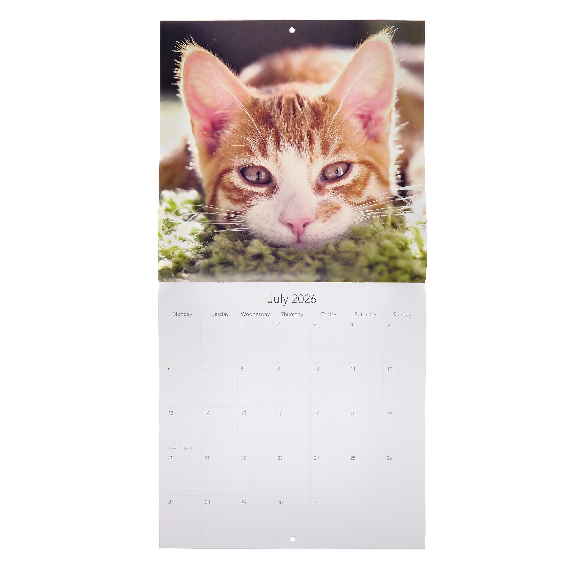 Cats & Kittens 2026 Square Wall Calendar