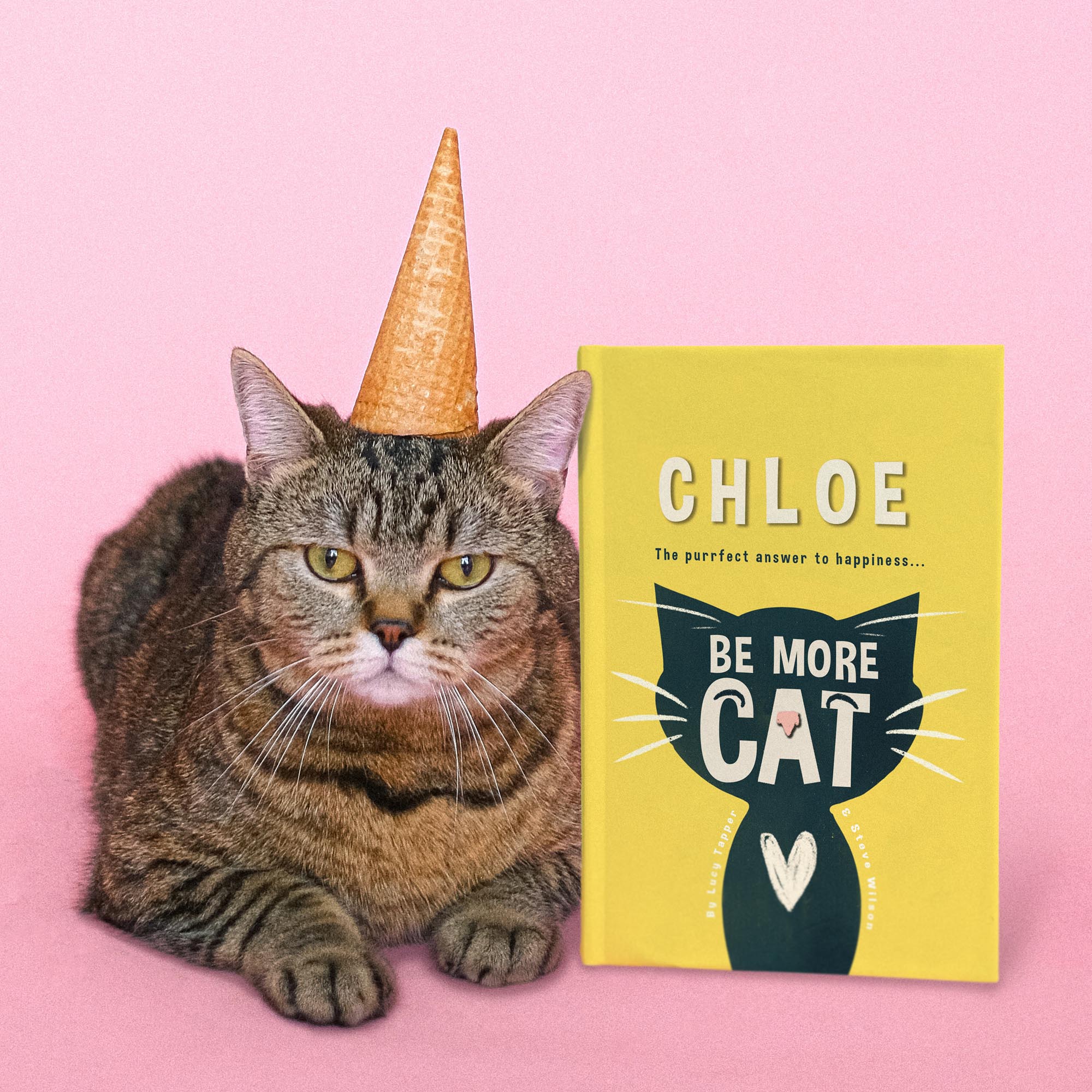 Personalised Be More Cat Funny Book