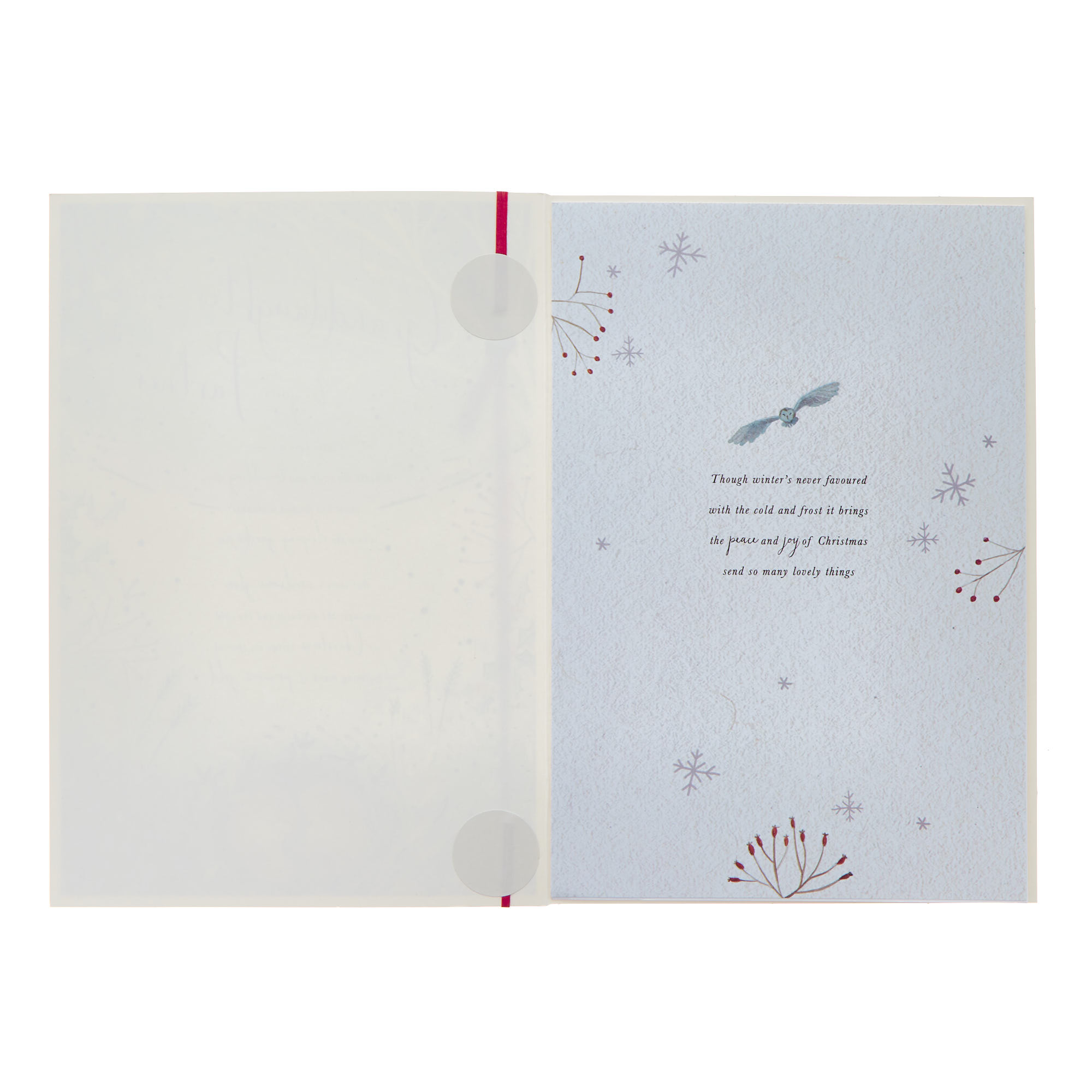 Granddaughter & Partner Burrowing Mice Christmas Card