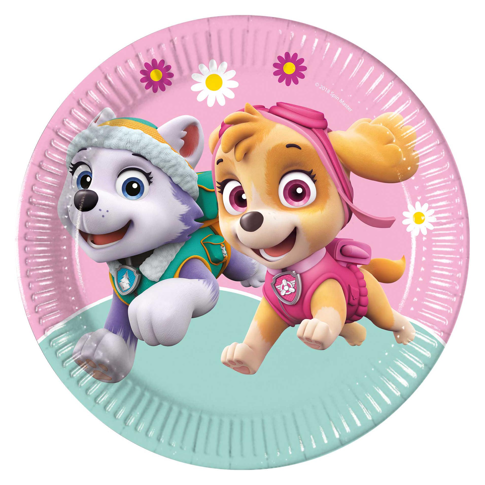 Skye & Everest Paw Patrol Party Tableware & Decorations Bundle - 16 Guests