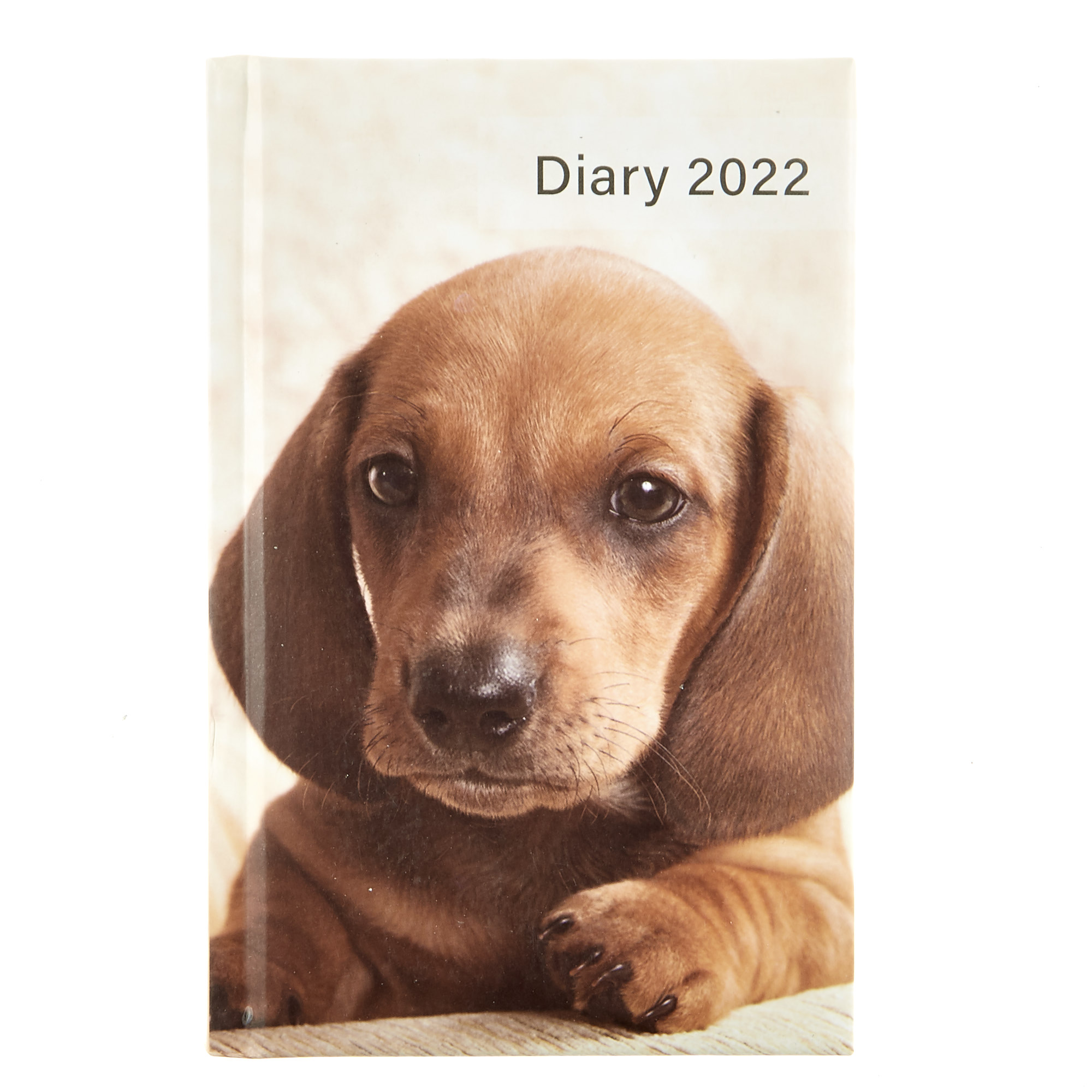  A6 2022 Pocket Diary - Dog