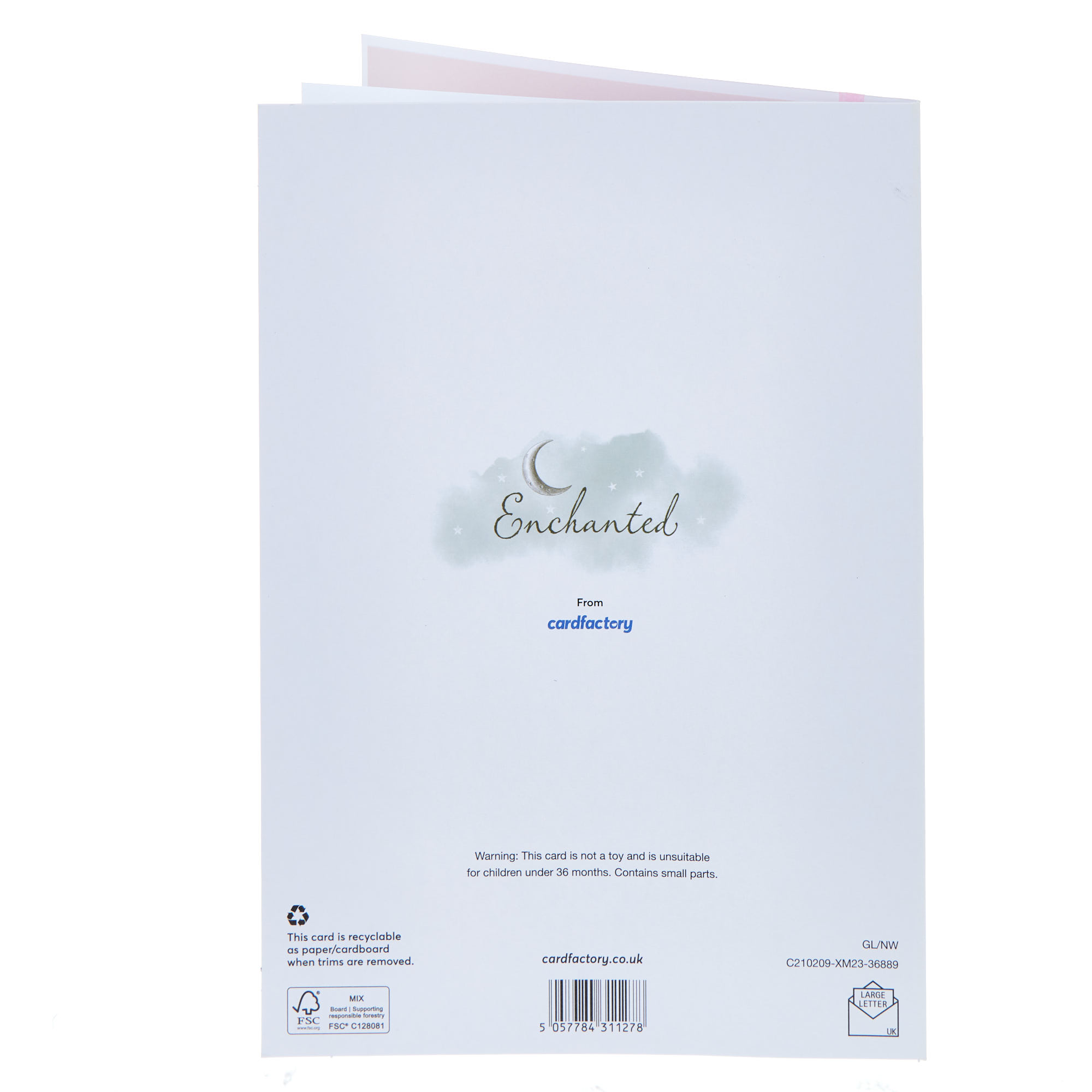 Friend Magical Swan Christmas Card