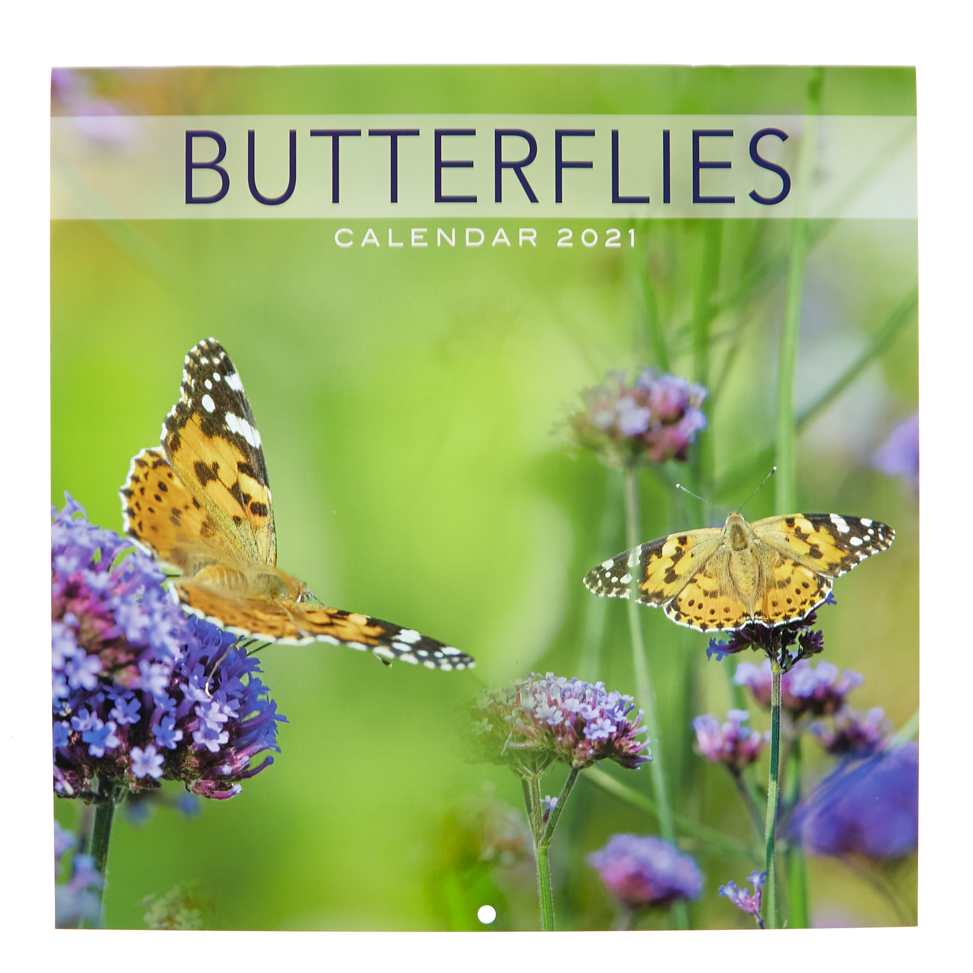 Butterflies 2021 Calendar