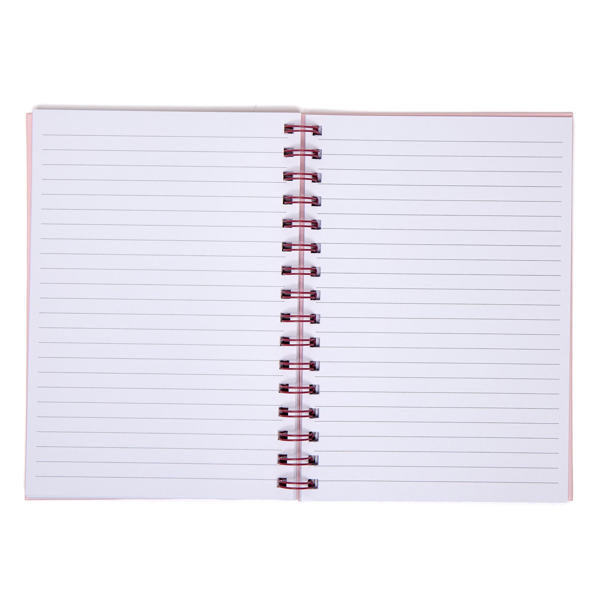 Amazing Ideas I Had While Drinking Notebook