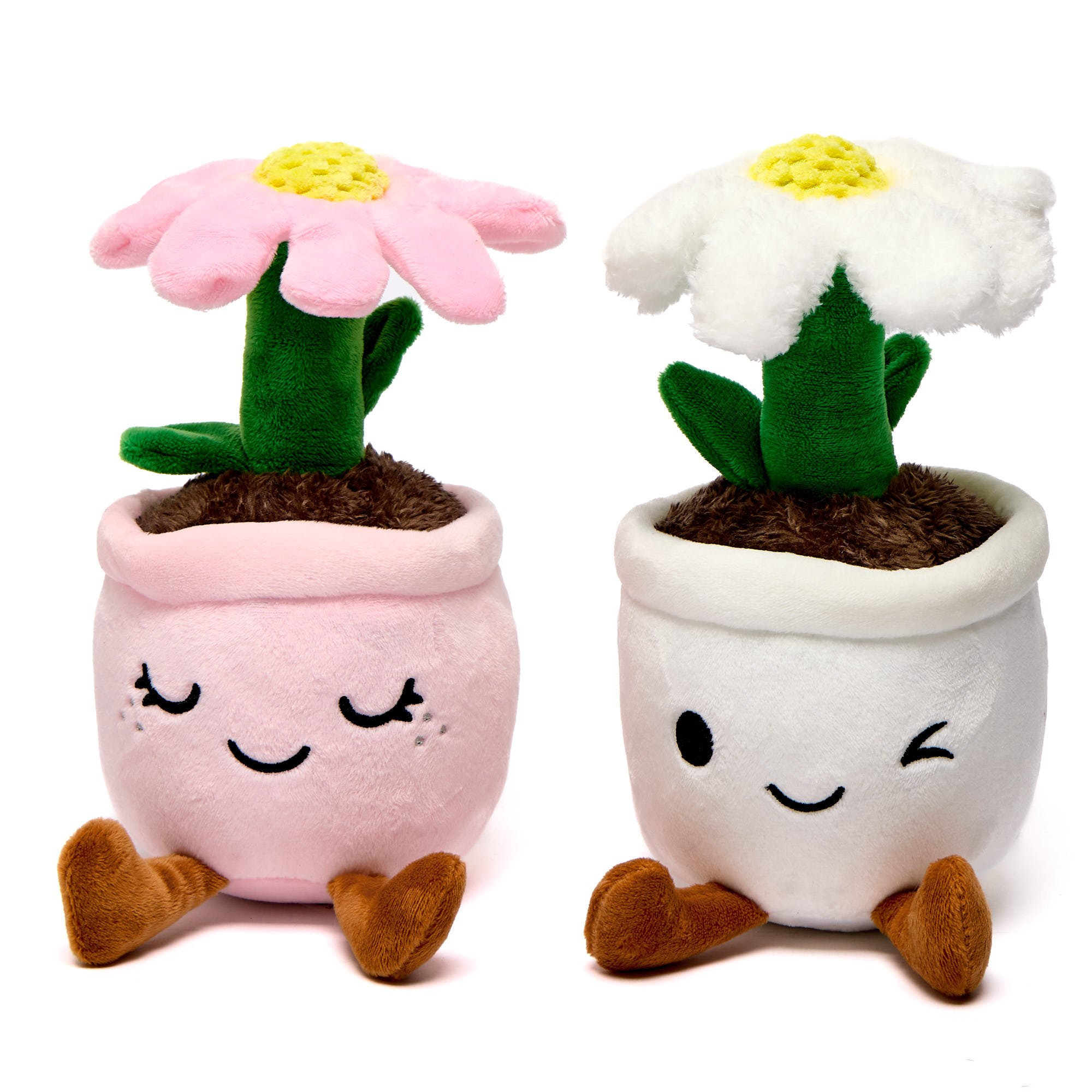 You Brighten Up Every Day - Set Of 2 Flower Soft Toys