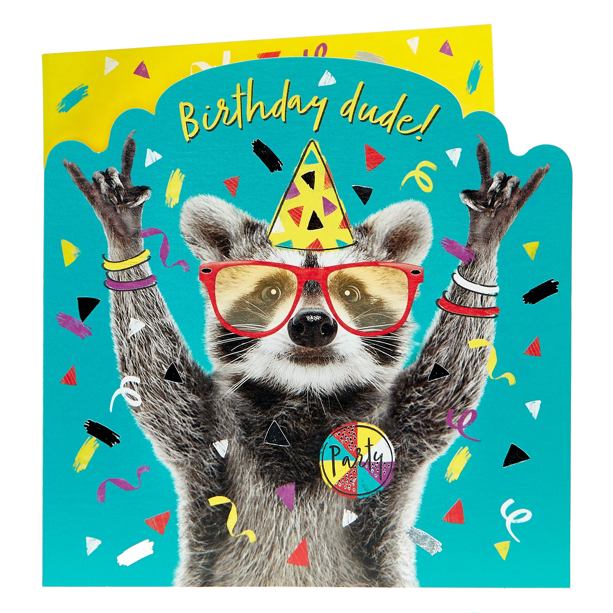 Birthday Card - Birthday Dude Raccoon