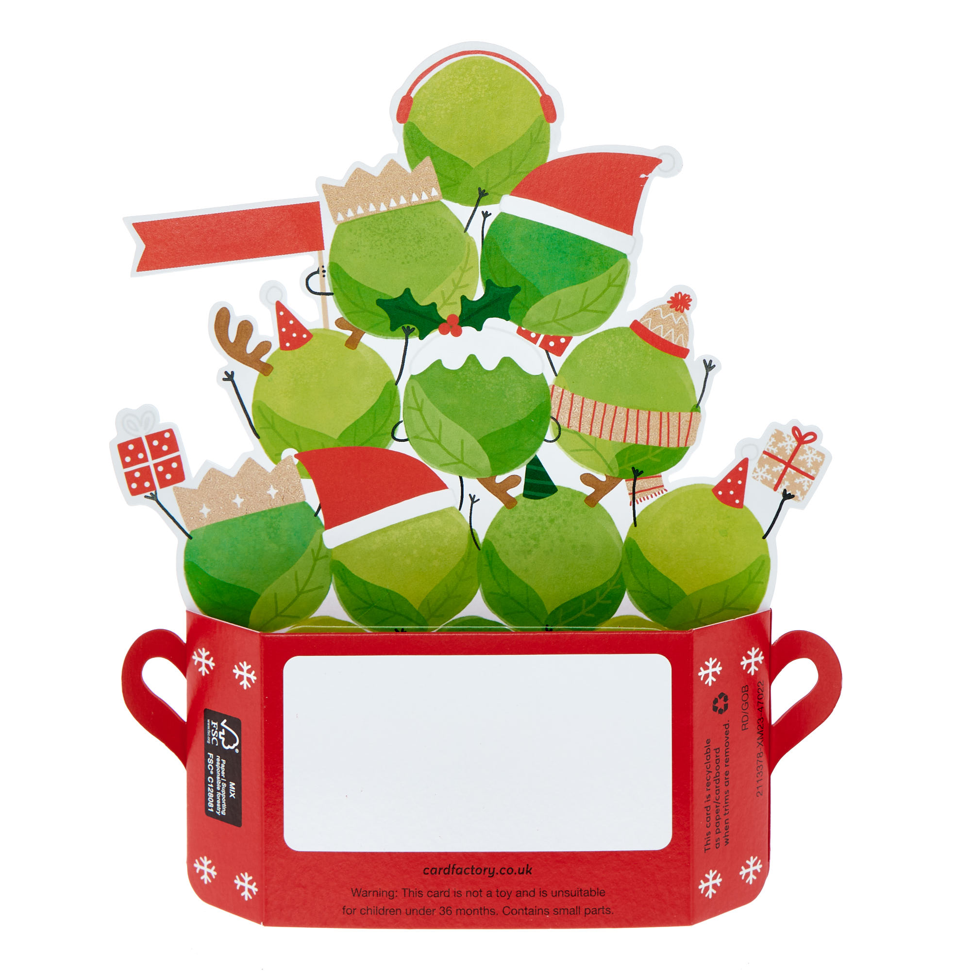 Grandson Sprouts 3D Christmas Card
