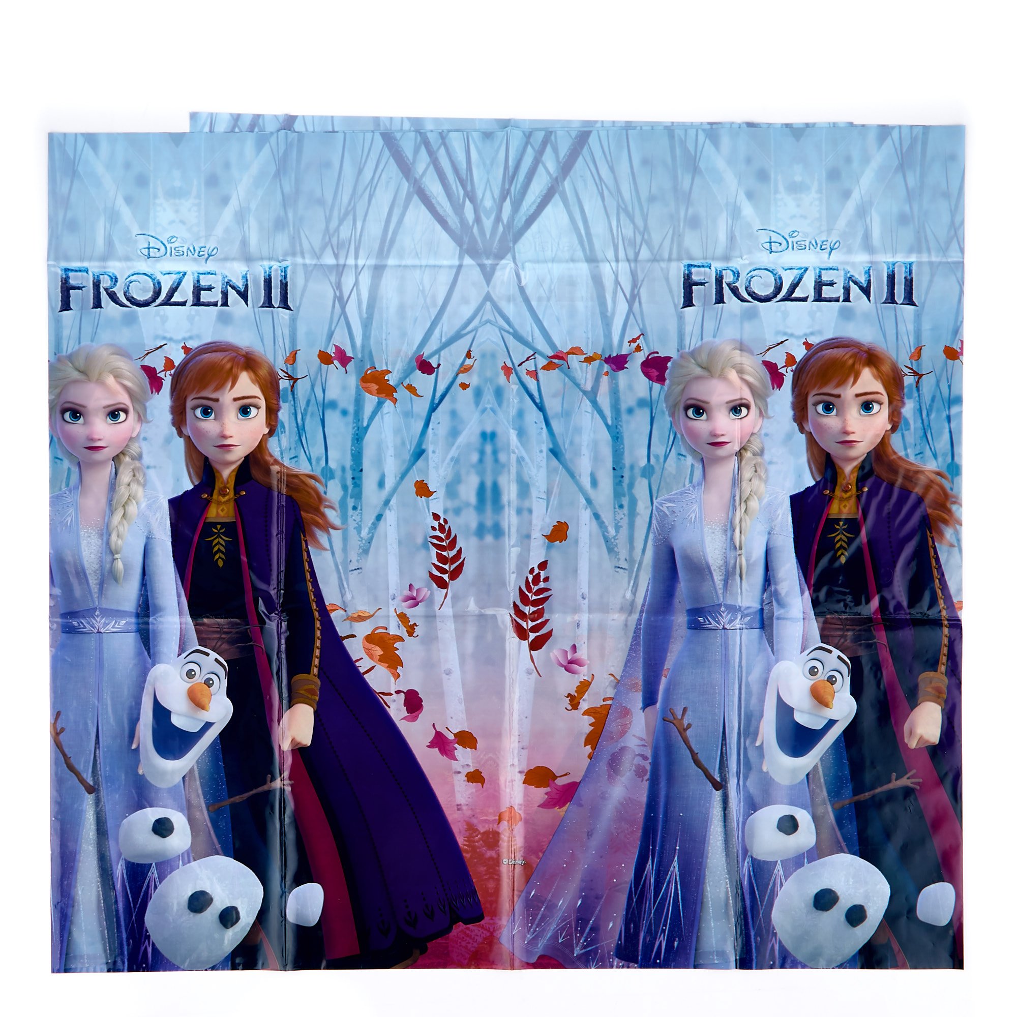 Frozen II Party Bundle - 16 Guests