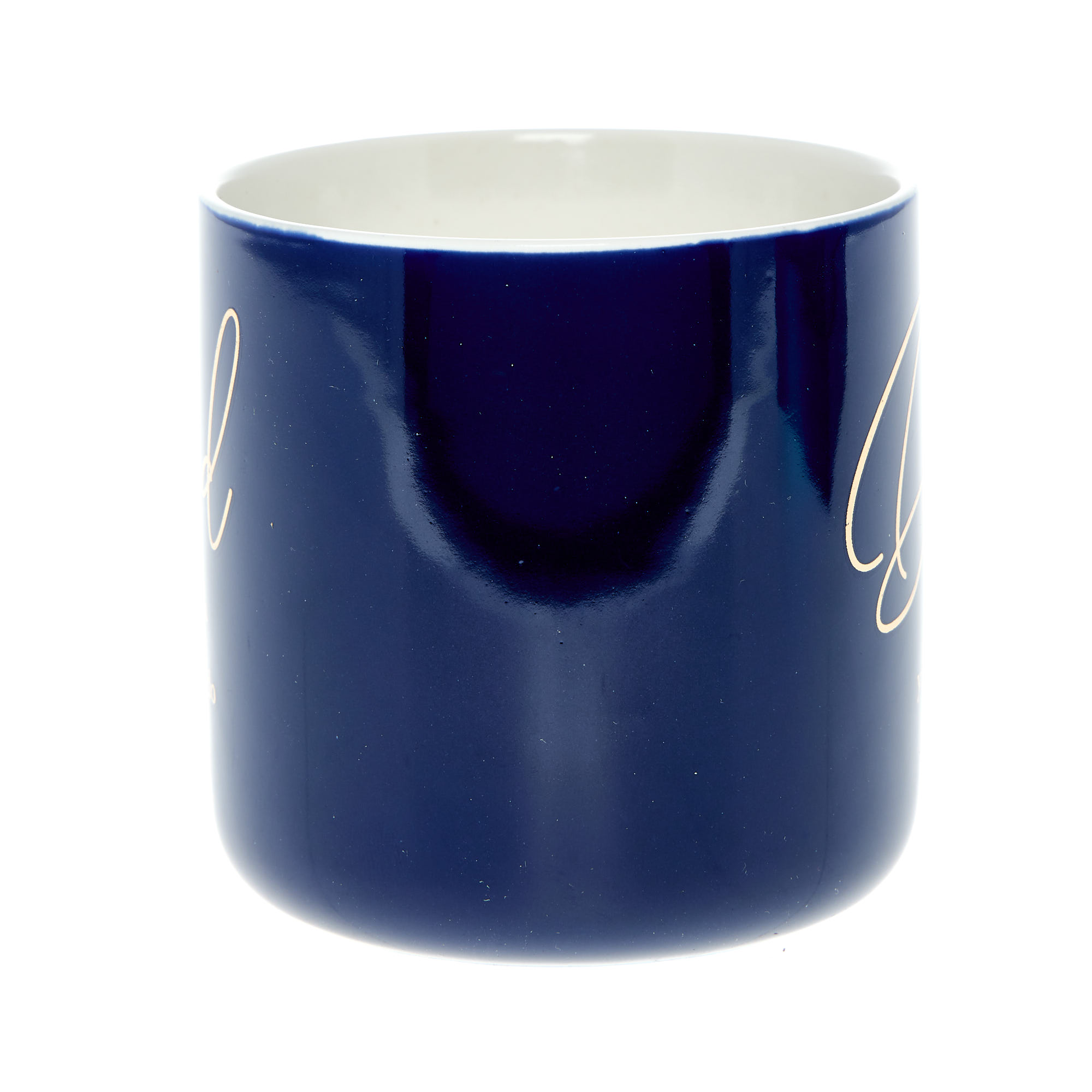 Dad The Man You Can't Do Without Mug