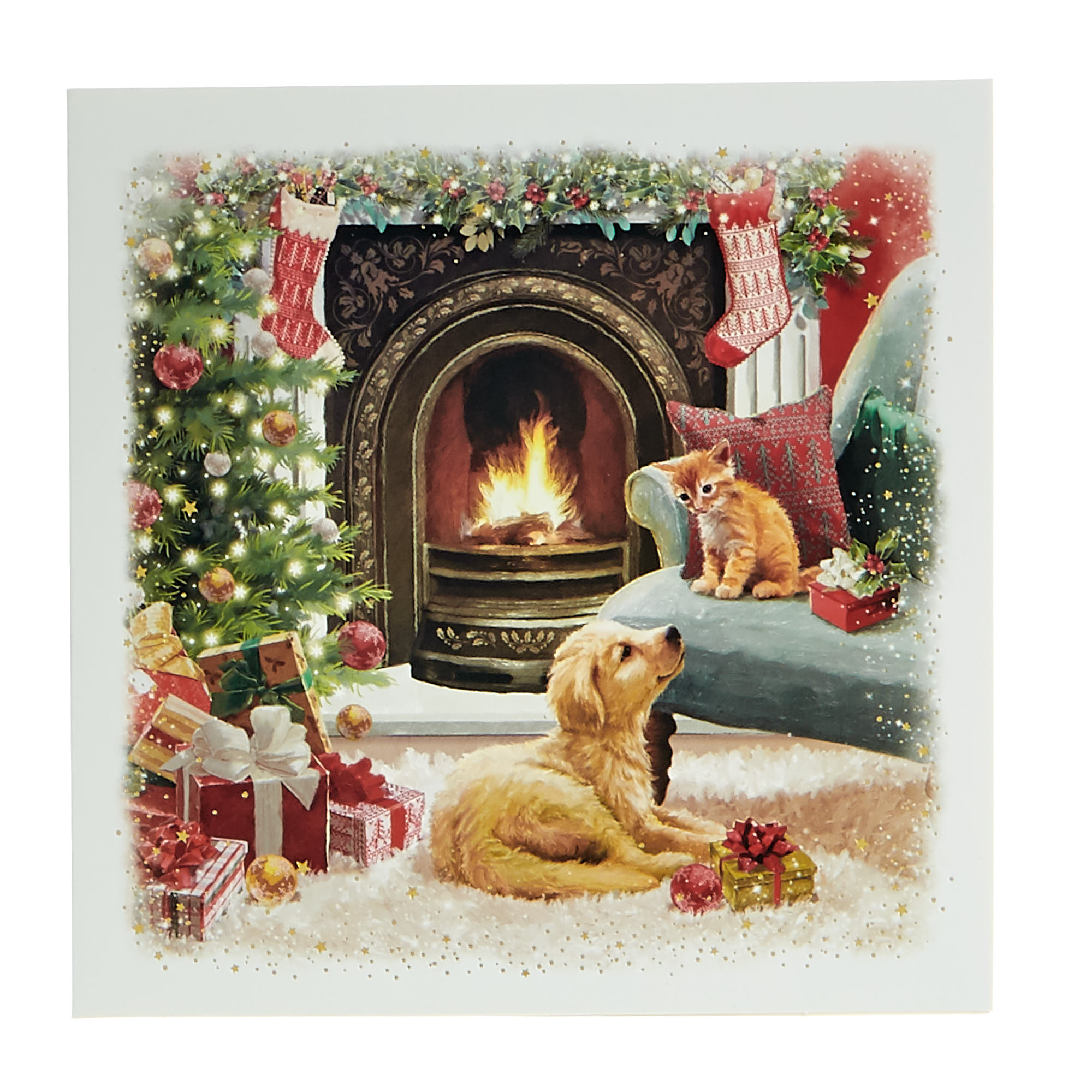 16 Charity Christmas Cards - Cats & Dogs (2 Designs)