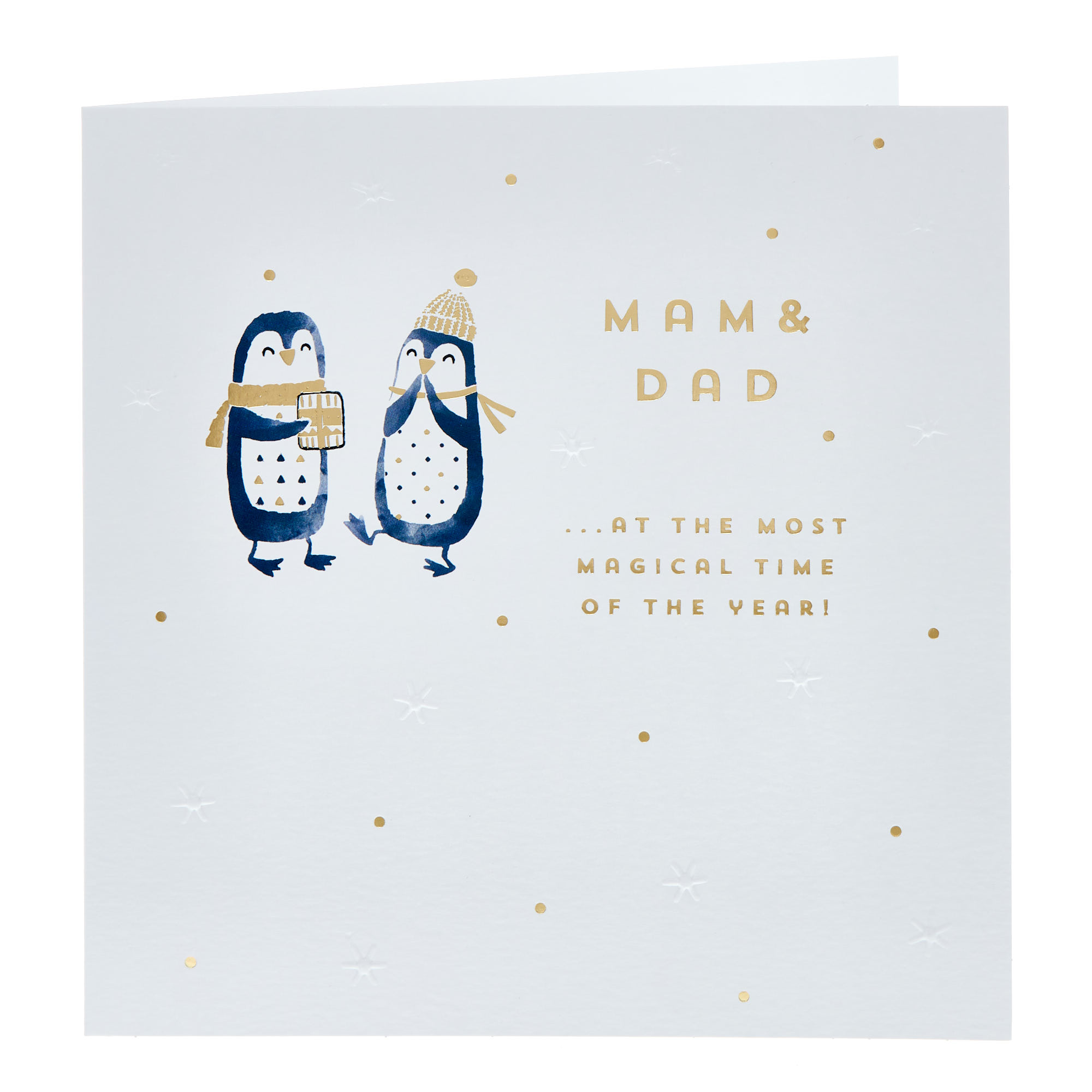 Platinum Mam & Dad Painted Penguins Christmas Card