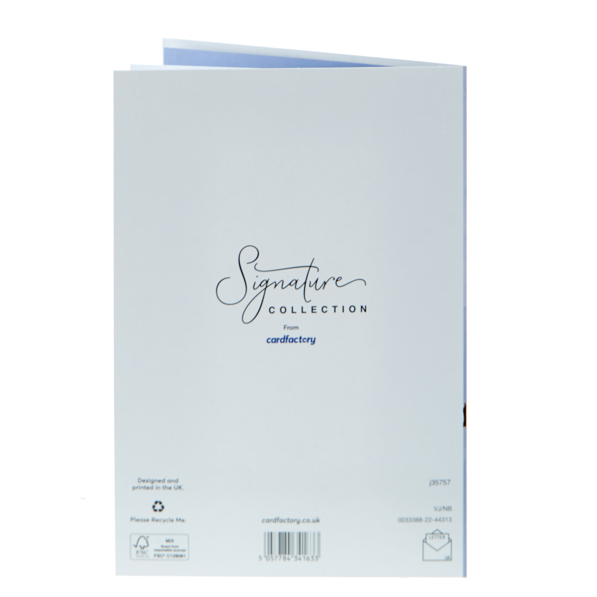 Wedding Card - Swans, Forever Stars Today