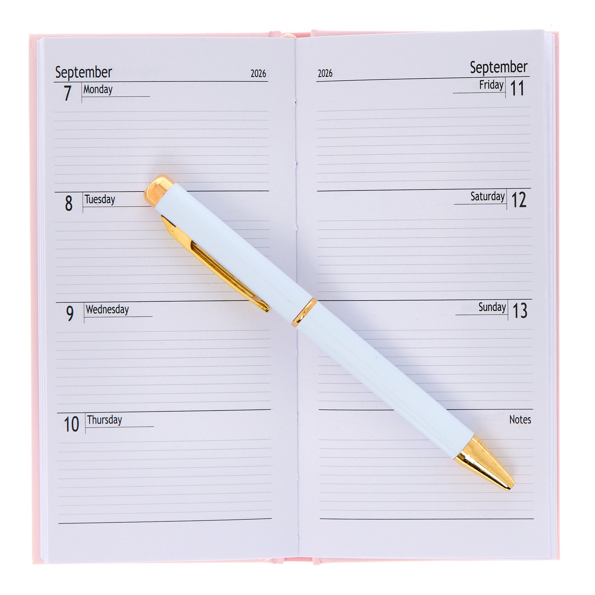 Slim Bees 2026 Boxed Diary With Pen