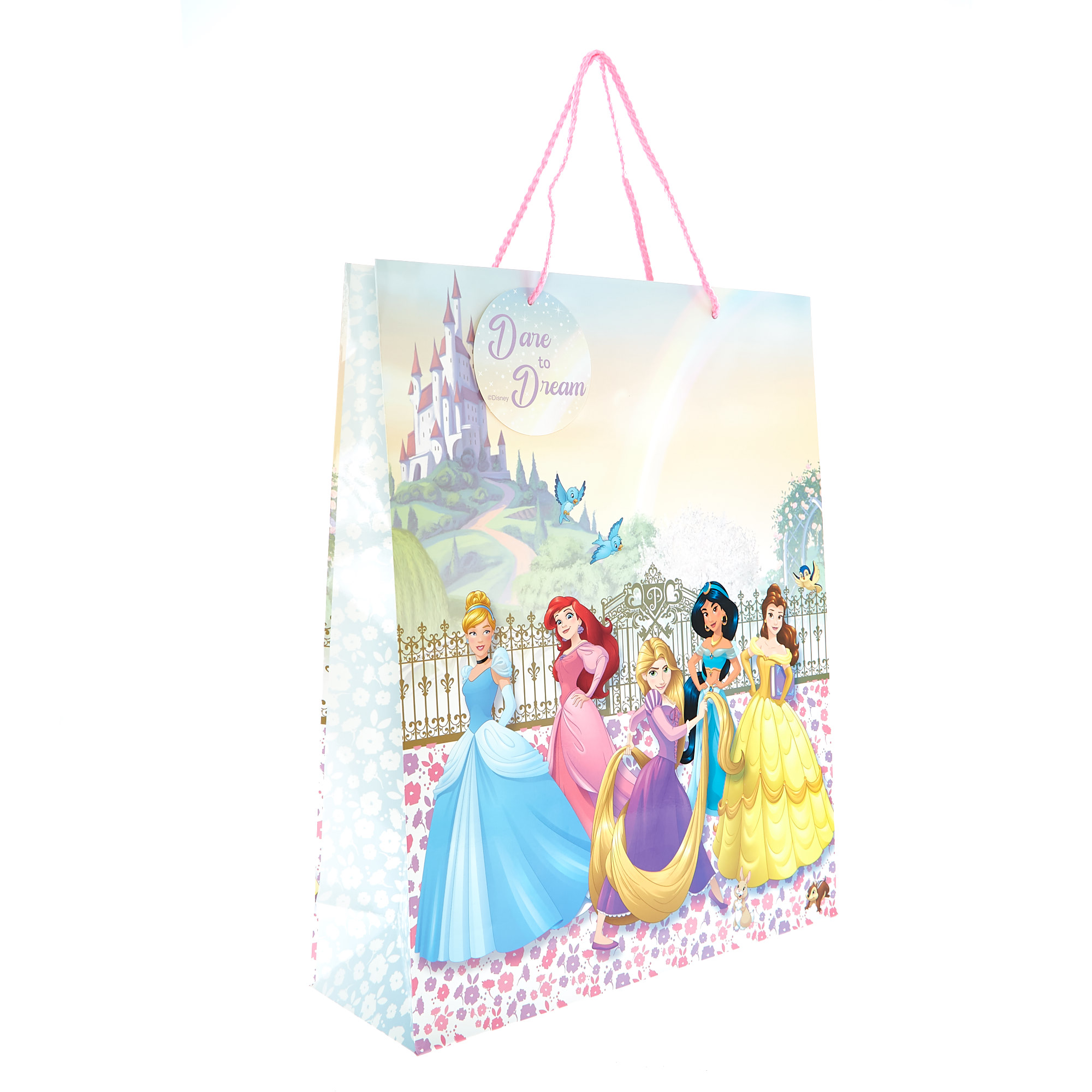 Extra Large Portrait Gift Bag - Disney Princesses