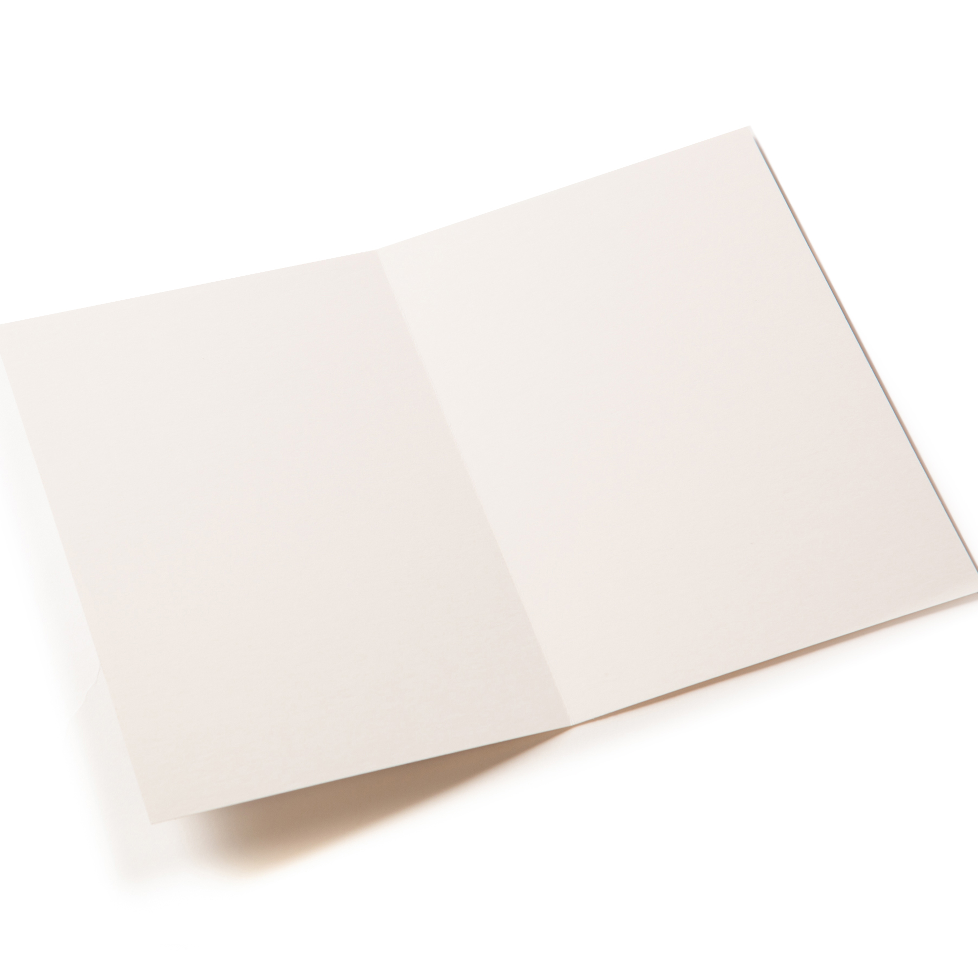Any Occasion Card - Skip Outside My House 