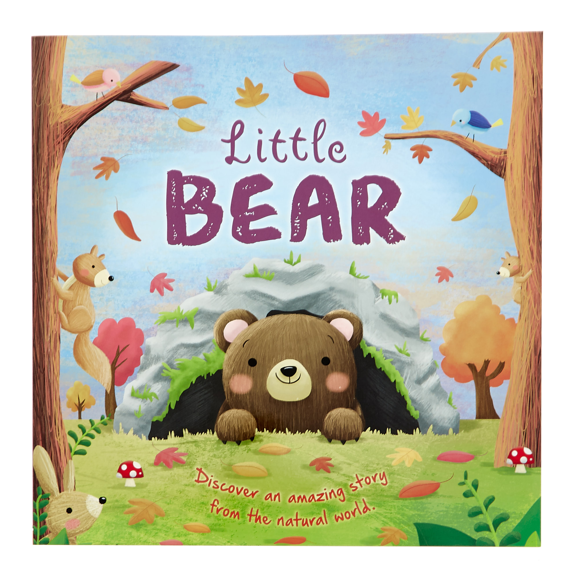 Little Bear Storybook