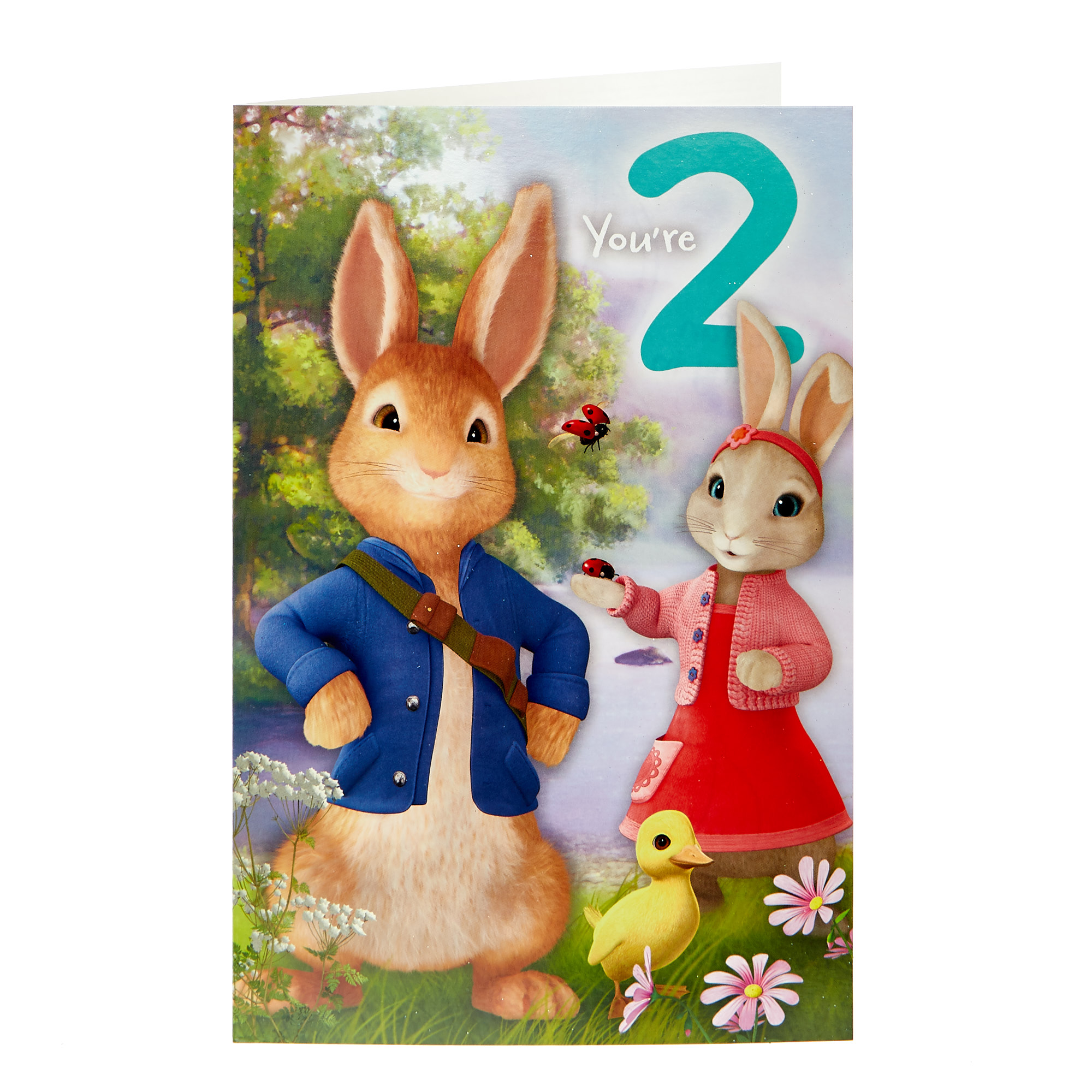 Peter Rabbit 2nd Birthday Card