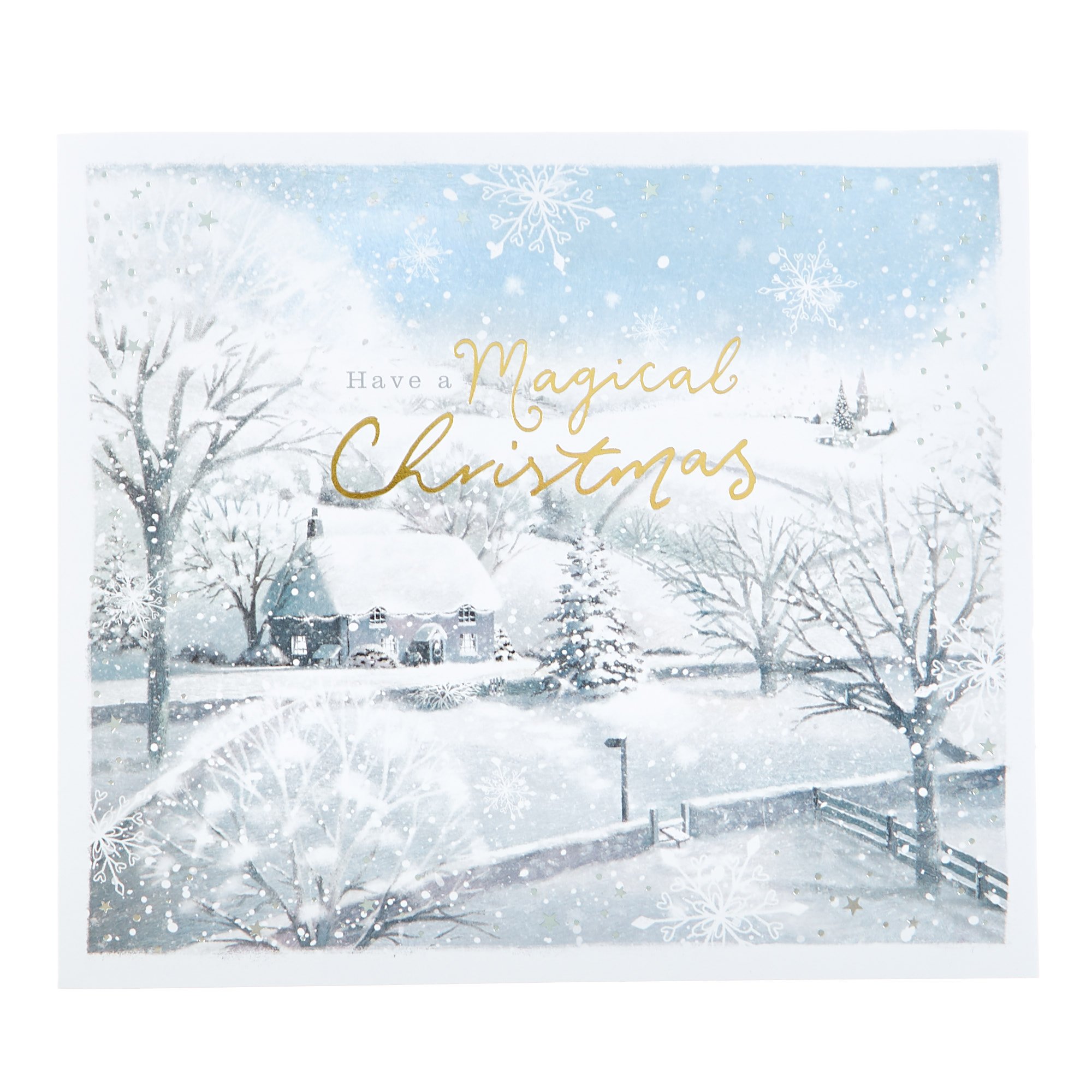 10 Deluxe Charity Boxed Christmas Cards - Magical Winter (2 Designs)