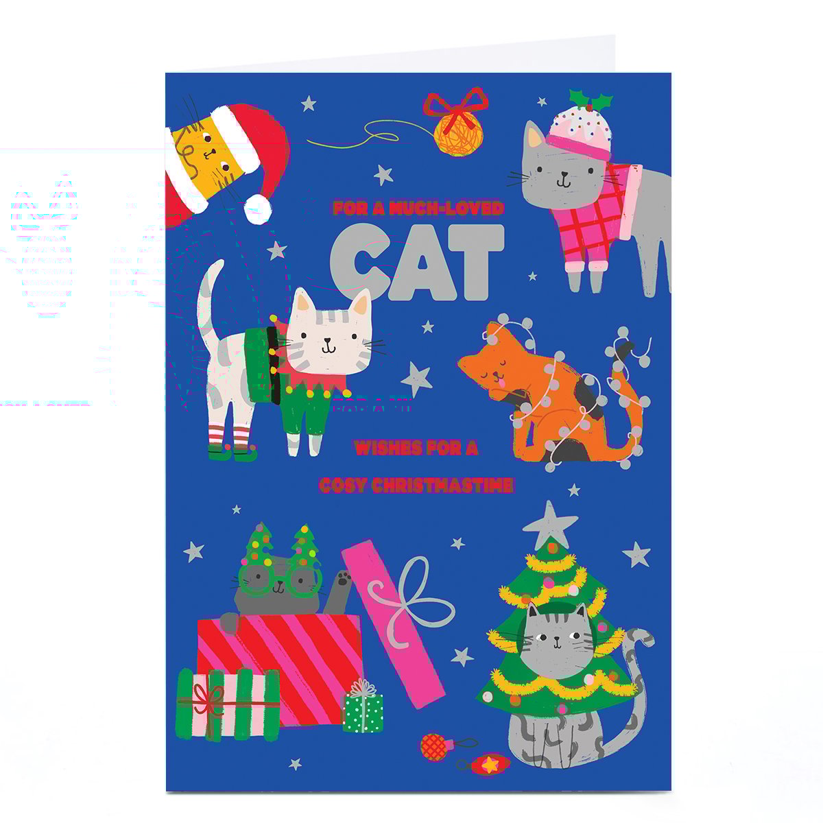 Personalised To the Cat Christmas Card - Lots of Colourful Cats