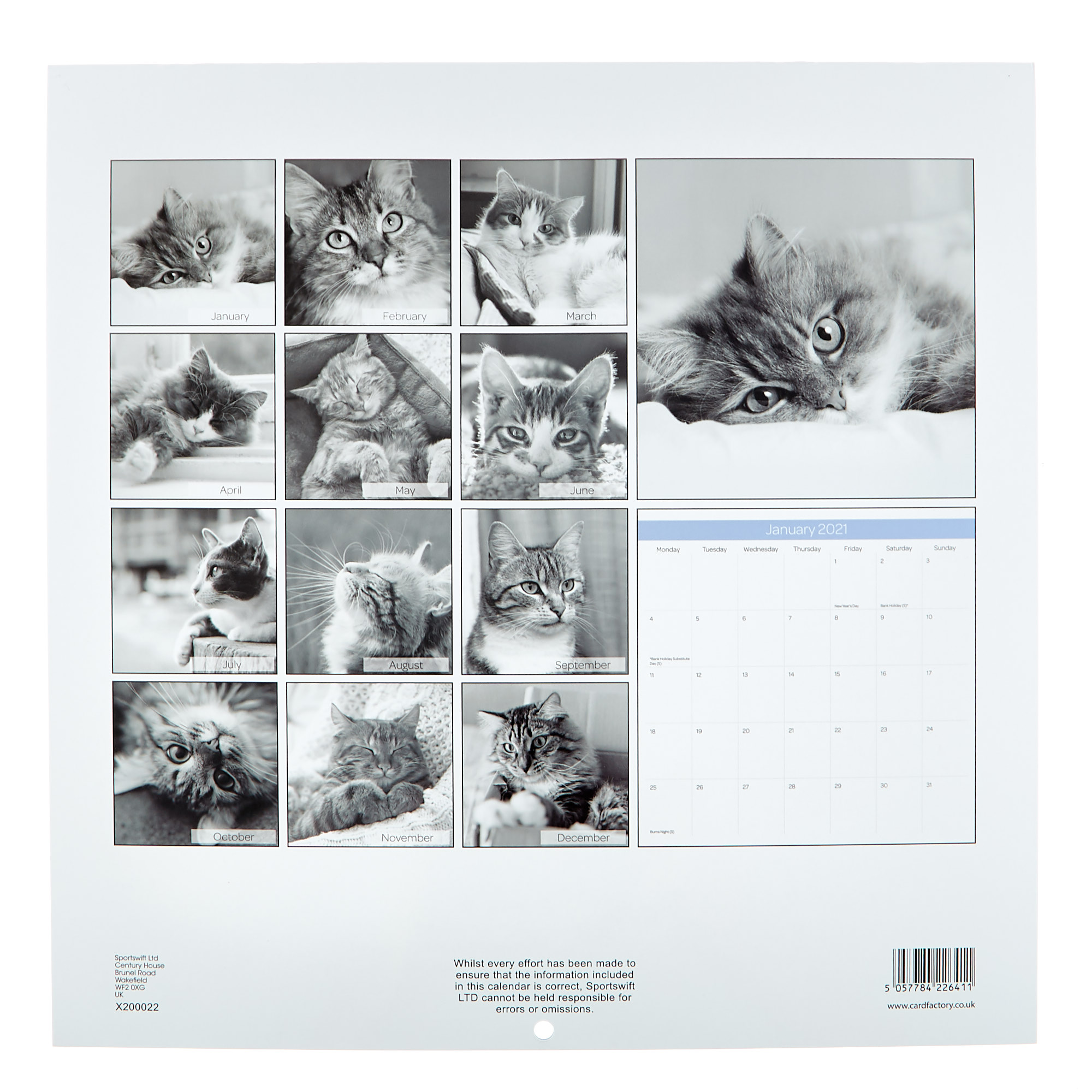 Cats 2021 Calendar