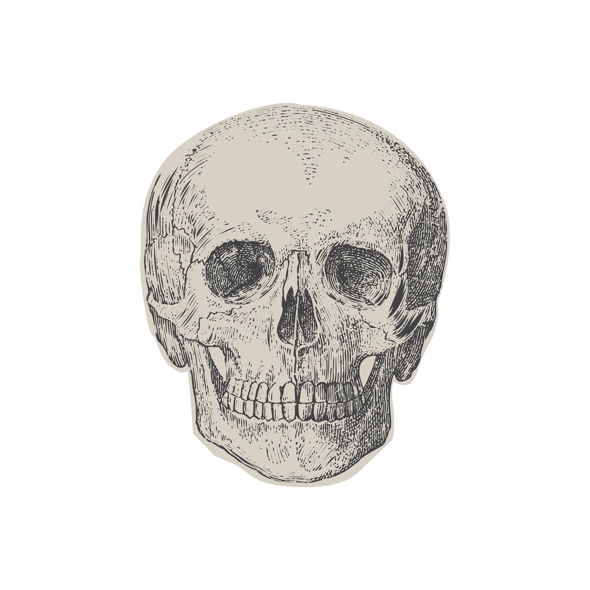 Skull Paper Napkins - Pack of 16