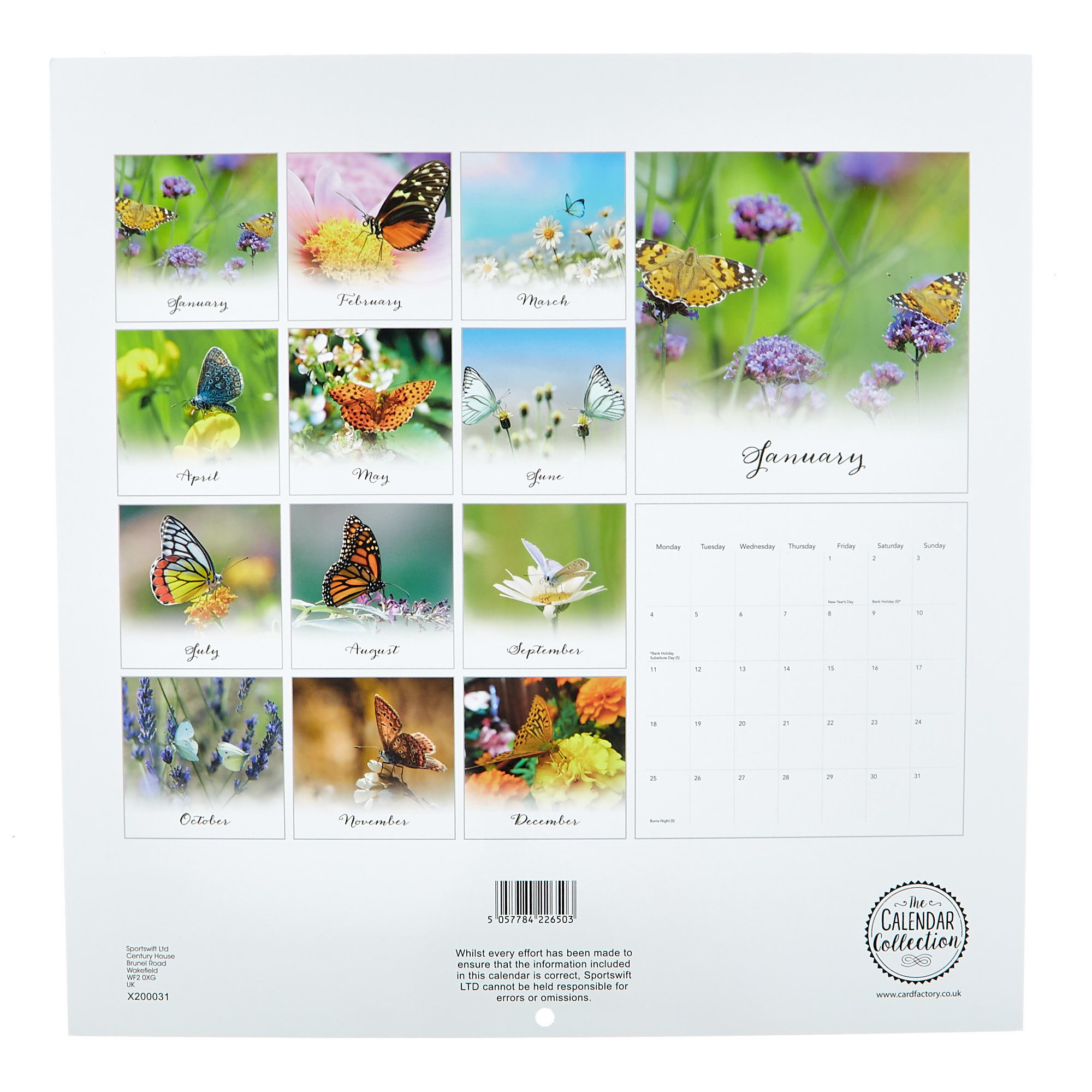 Butterflies 2021 Calendar