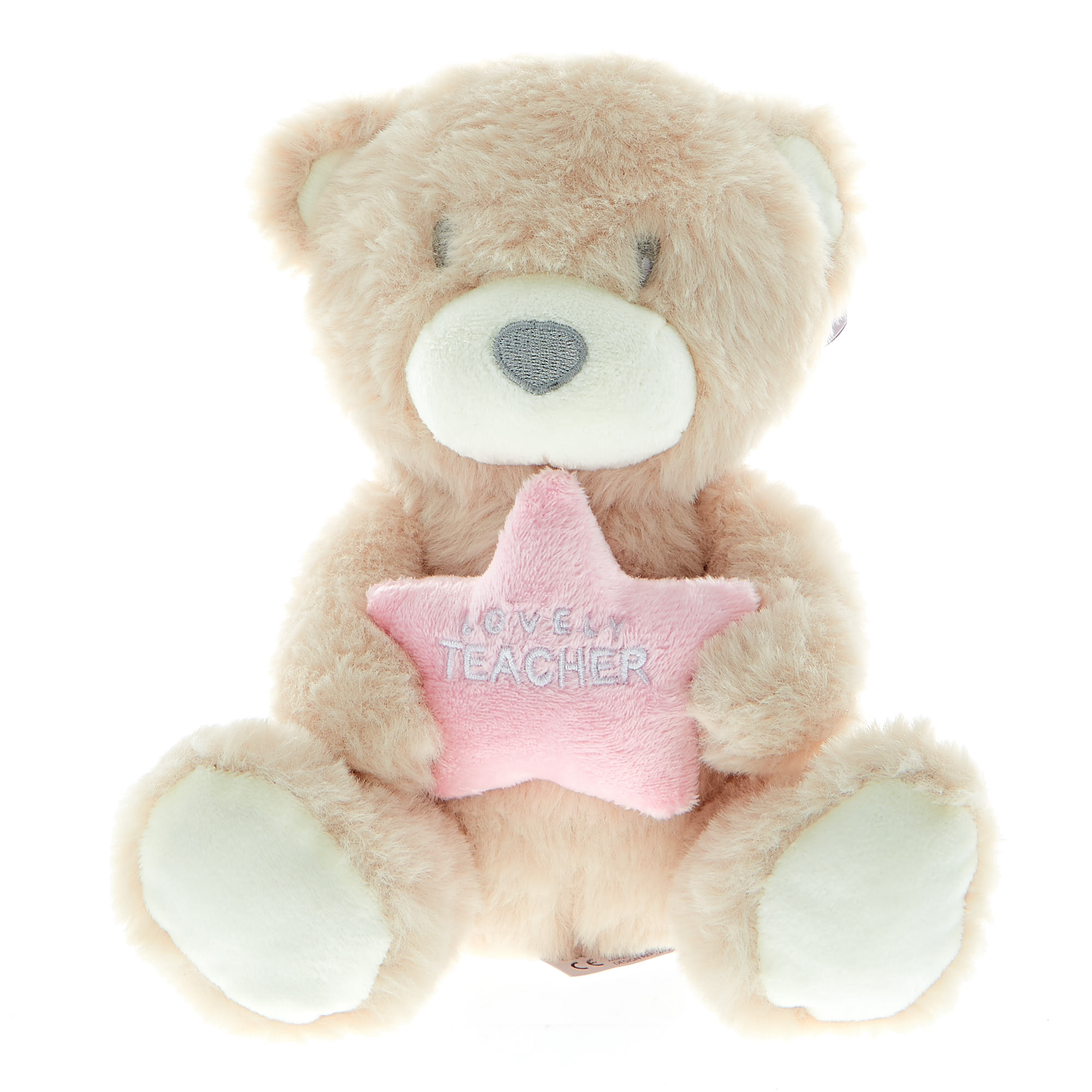 Lovely Teacher Bear Soft Toy