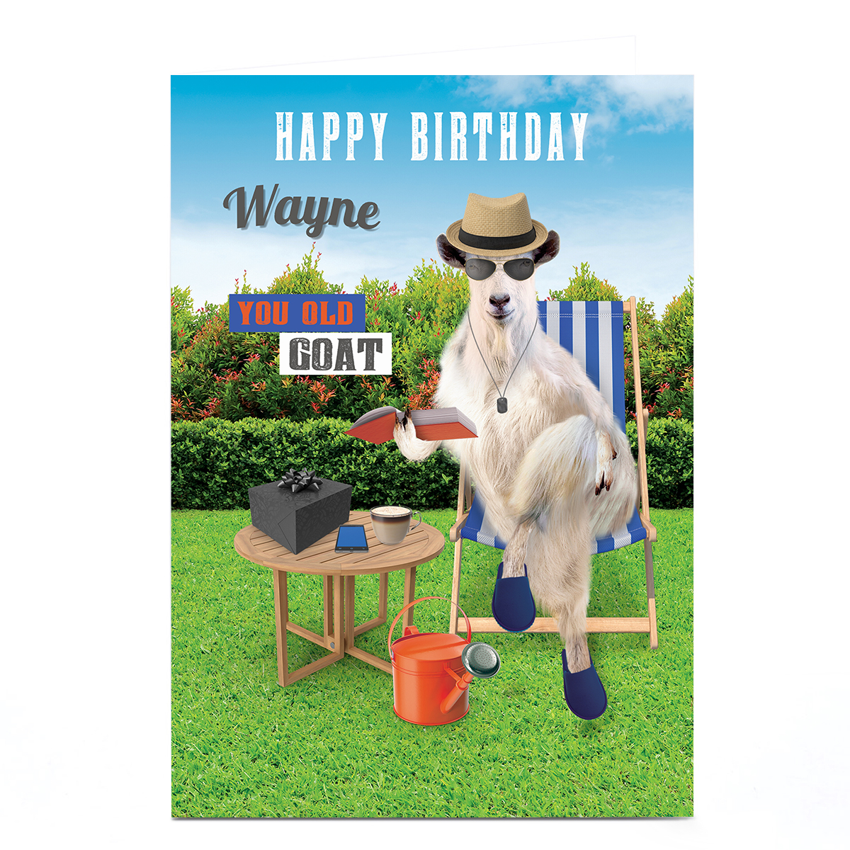 Personalised Birthday Card - You Old Goat