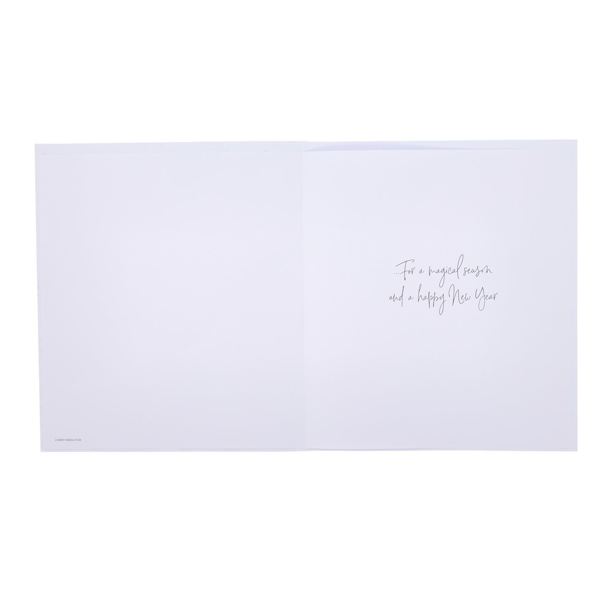 Premium Robin & Holly Christmas Cards - Pack of 10 (2 Designs)